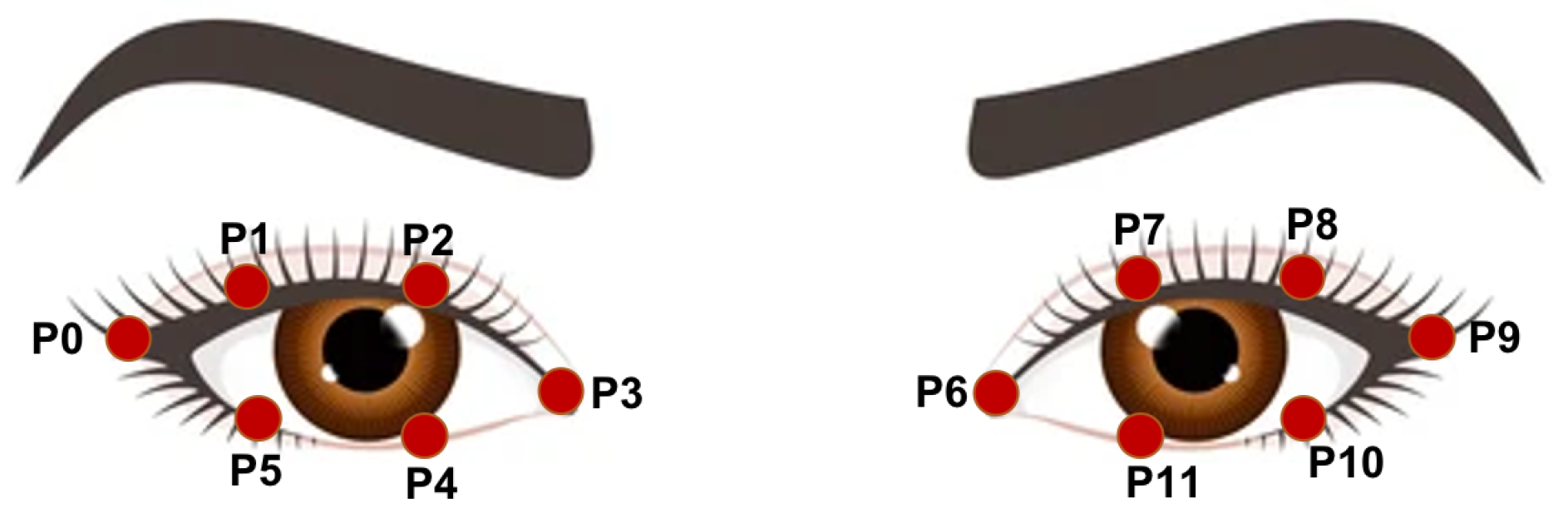 Computation 09 00054 g007