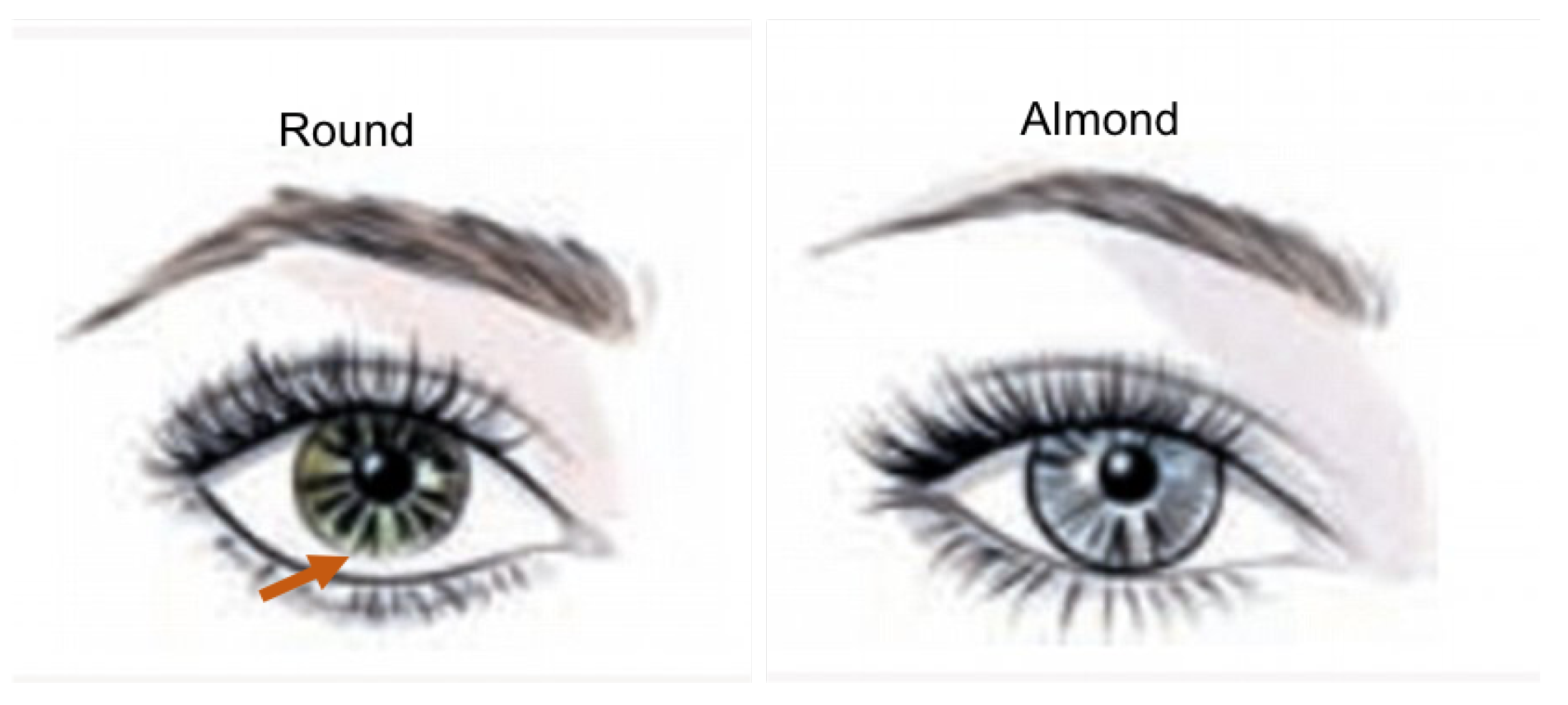 Computation 09 00054 g008