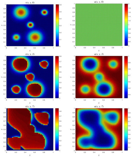 Computation 09 00123 g011