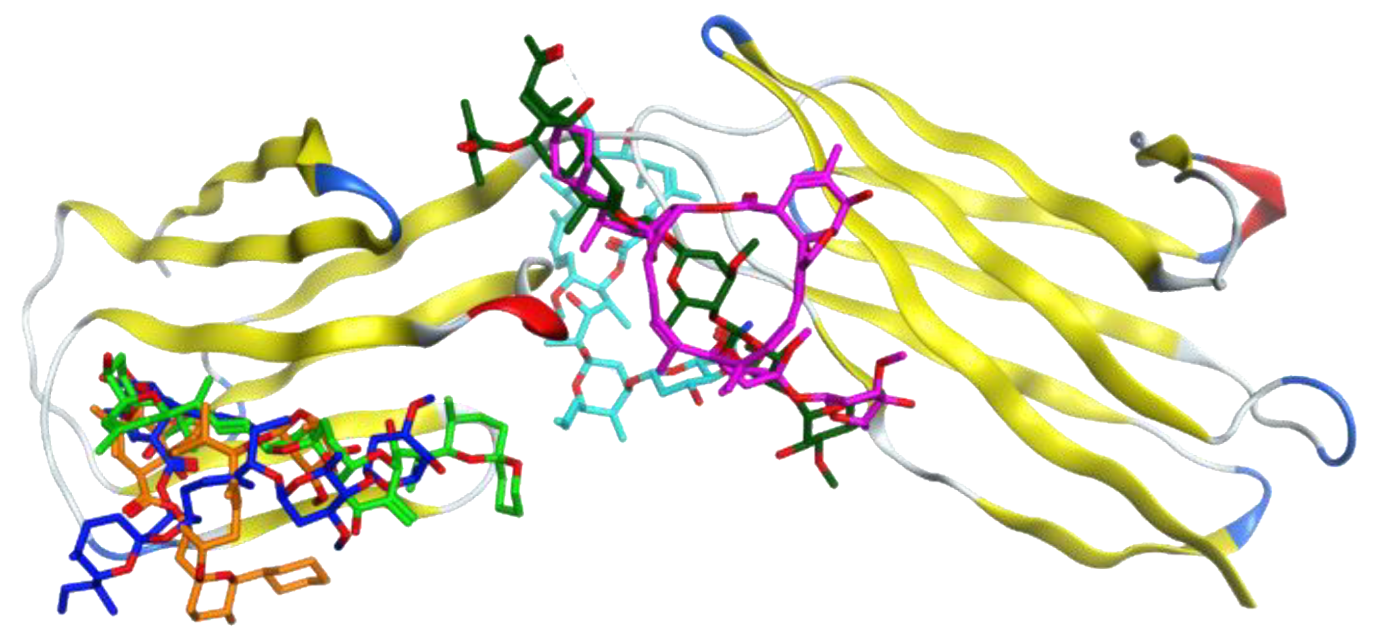 Computation 10 00051 g003