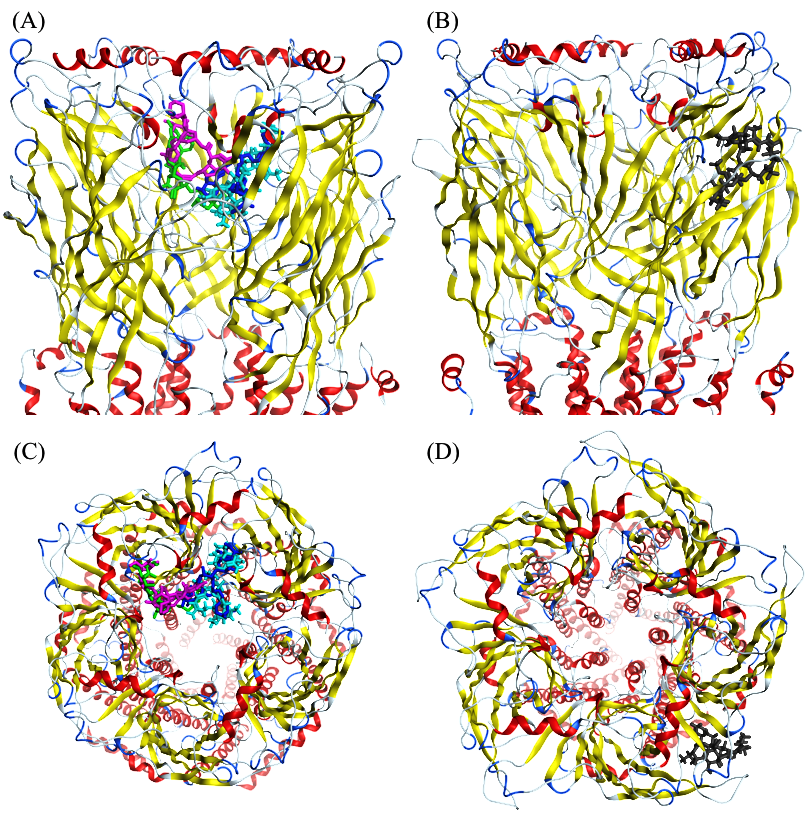 Computation 10 00051 g004