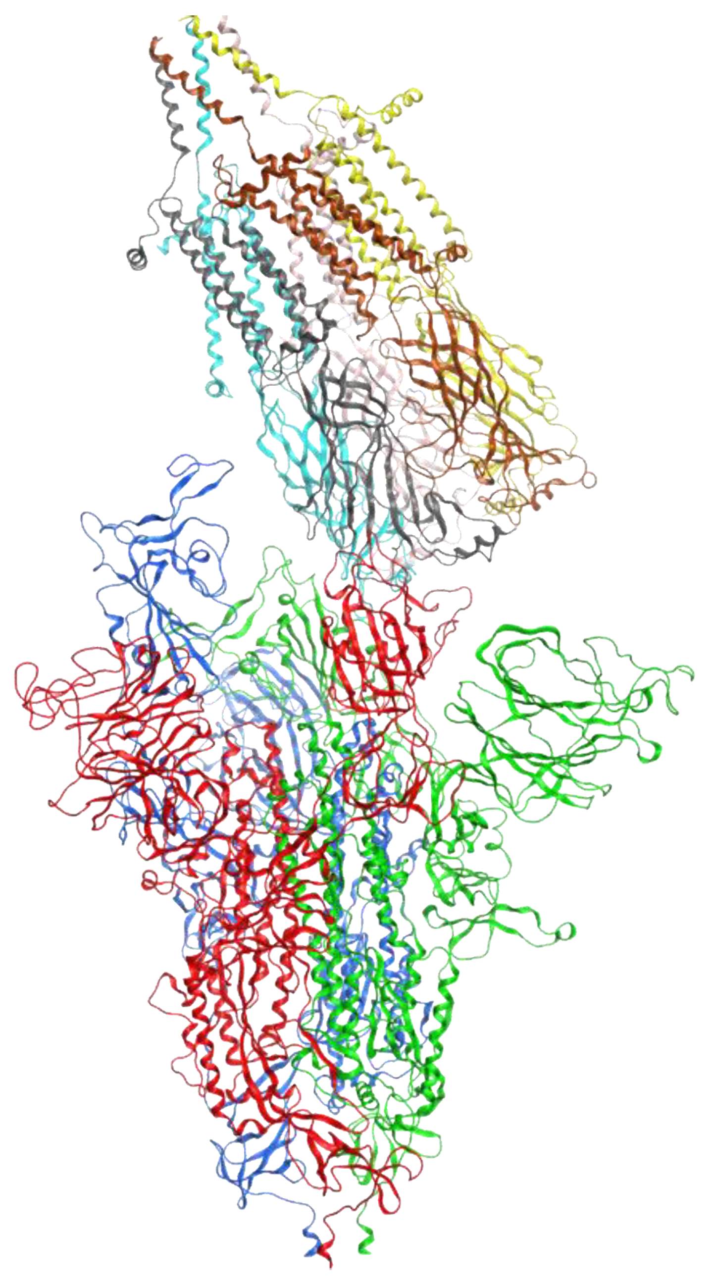 Computation 10 00051 g006