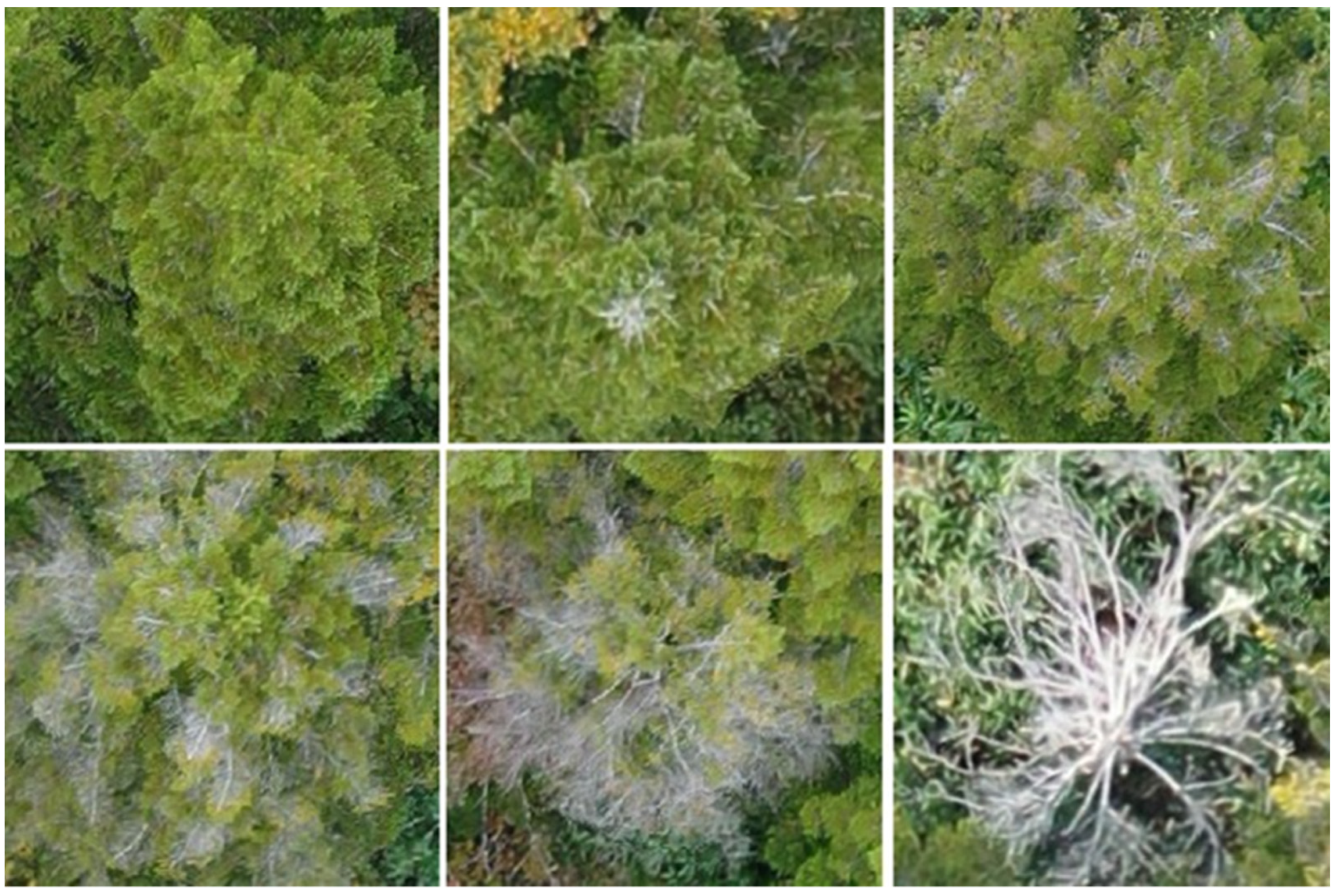 Computation 10 00063 g002