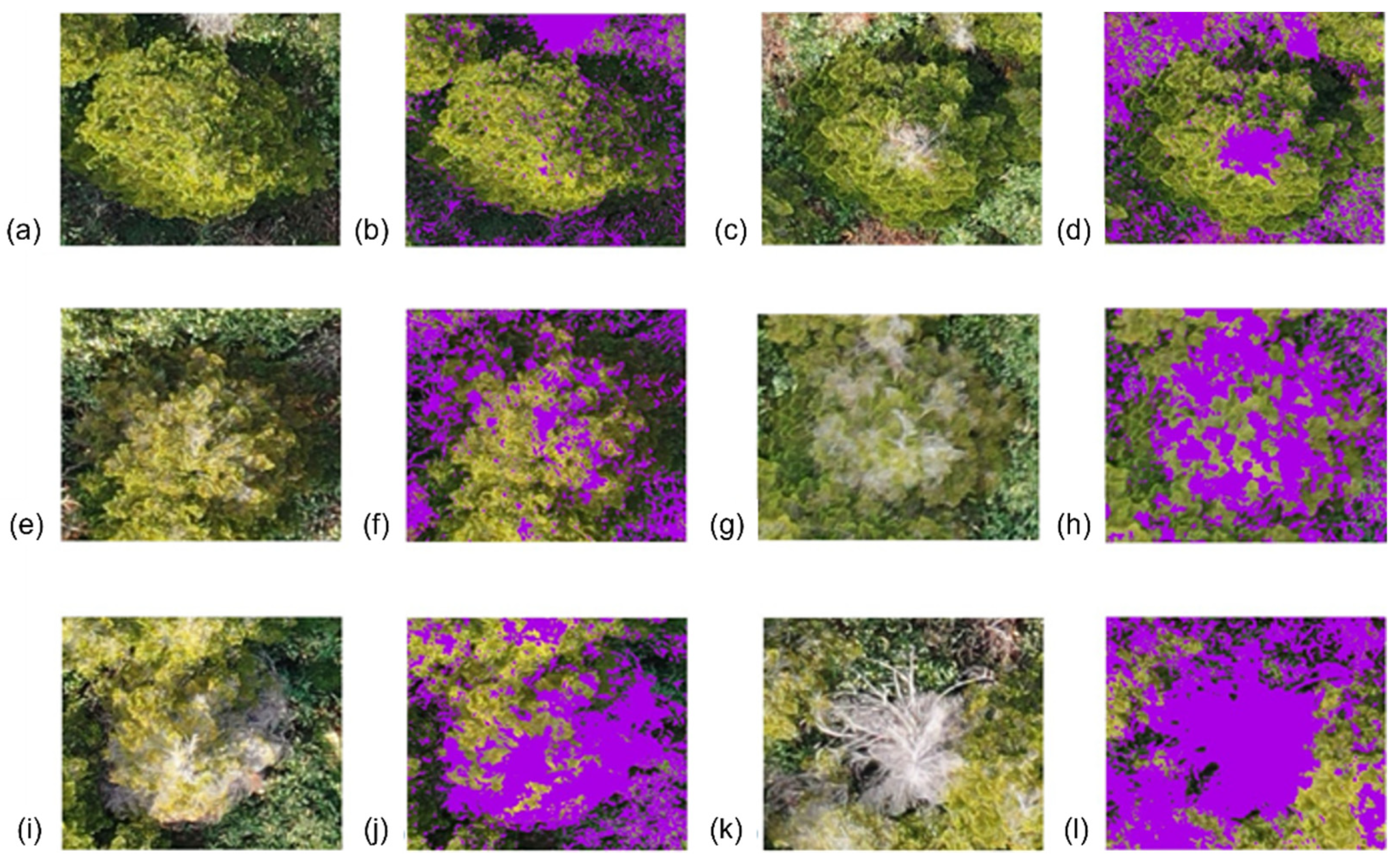 Computation 10 00063 g007