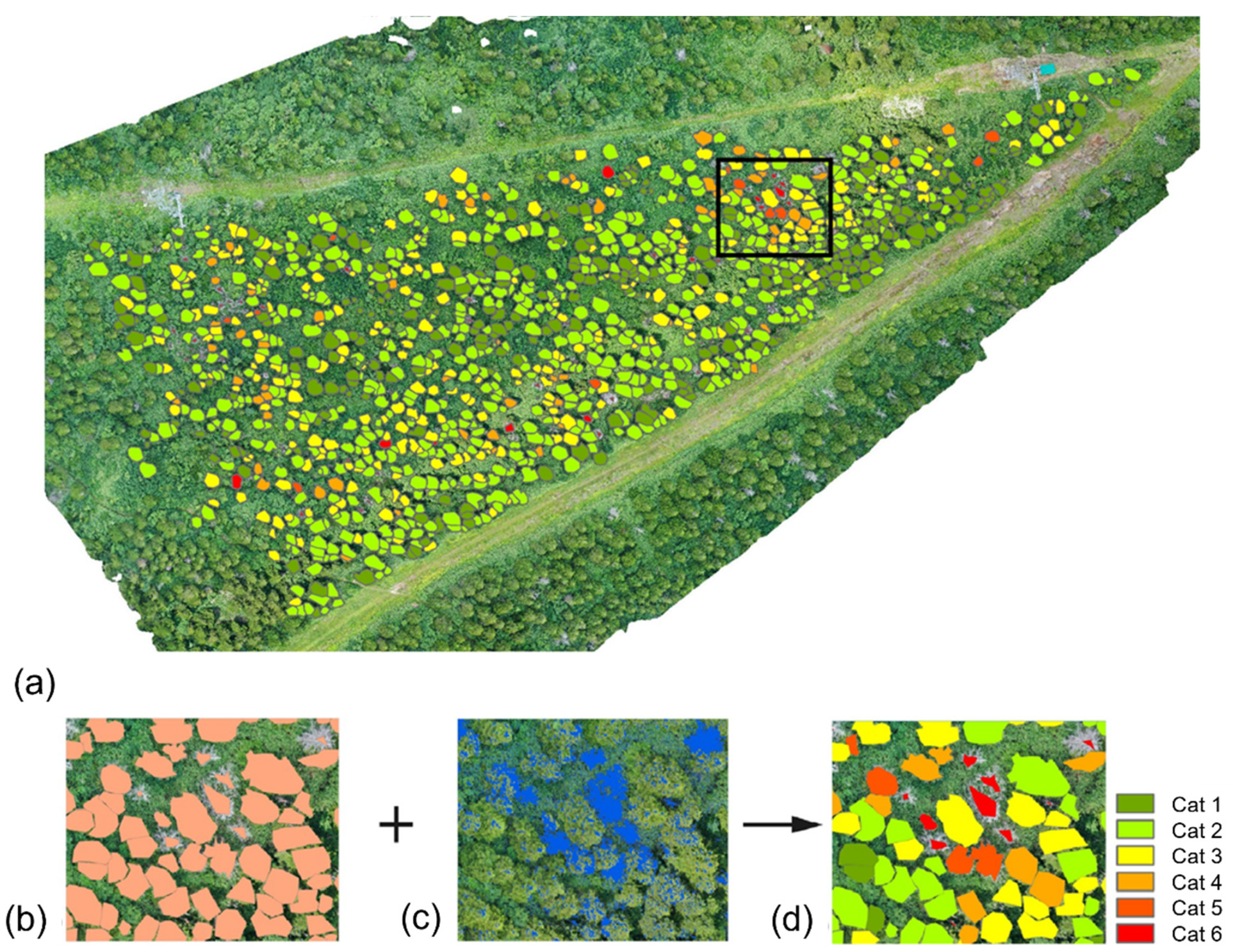 Computation 10 00063 g008