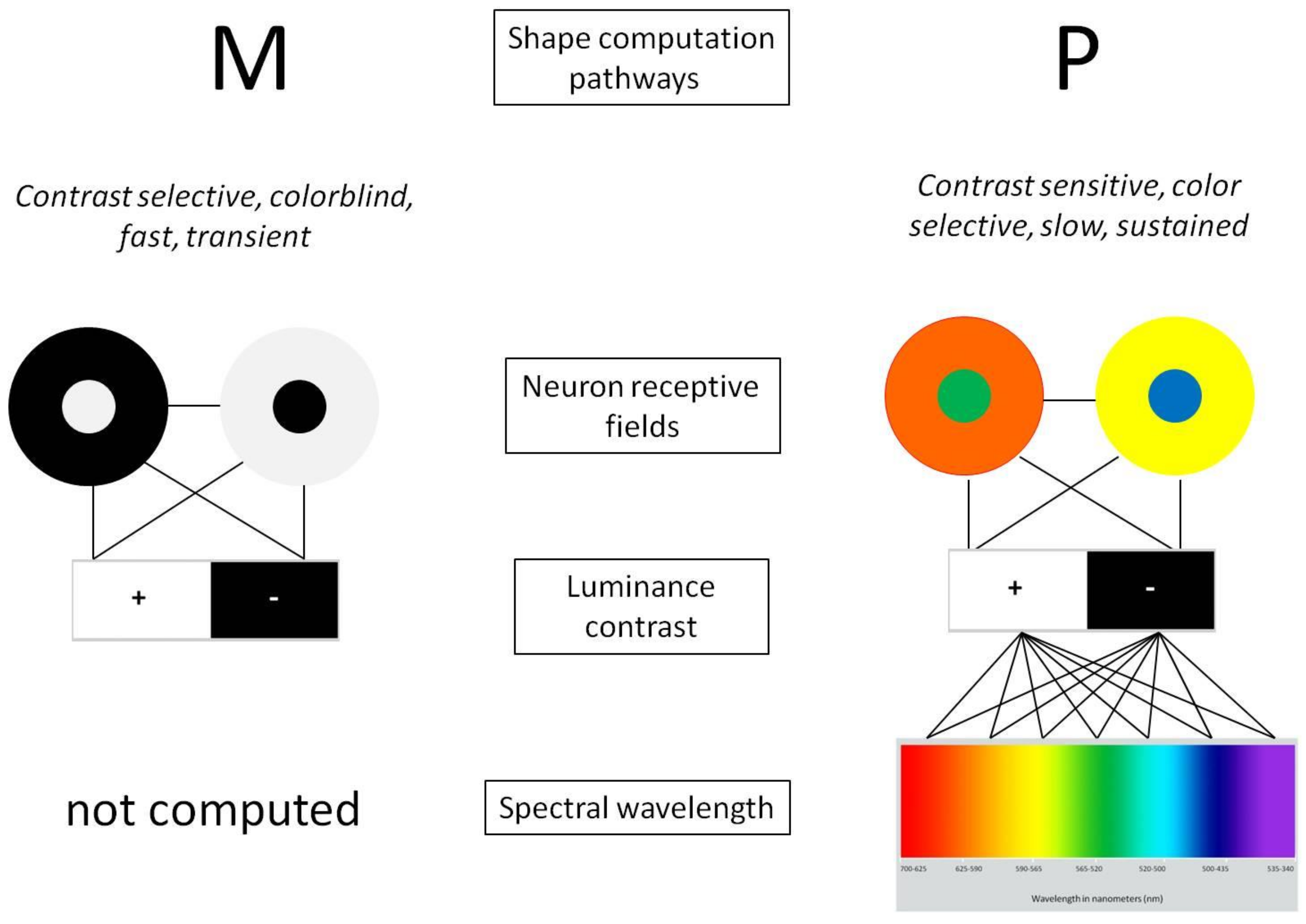Computation 10 00099 g001