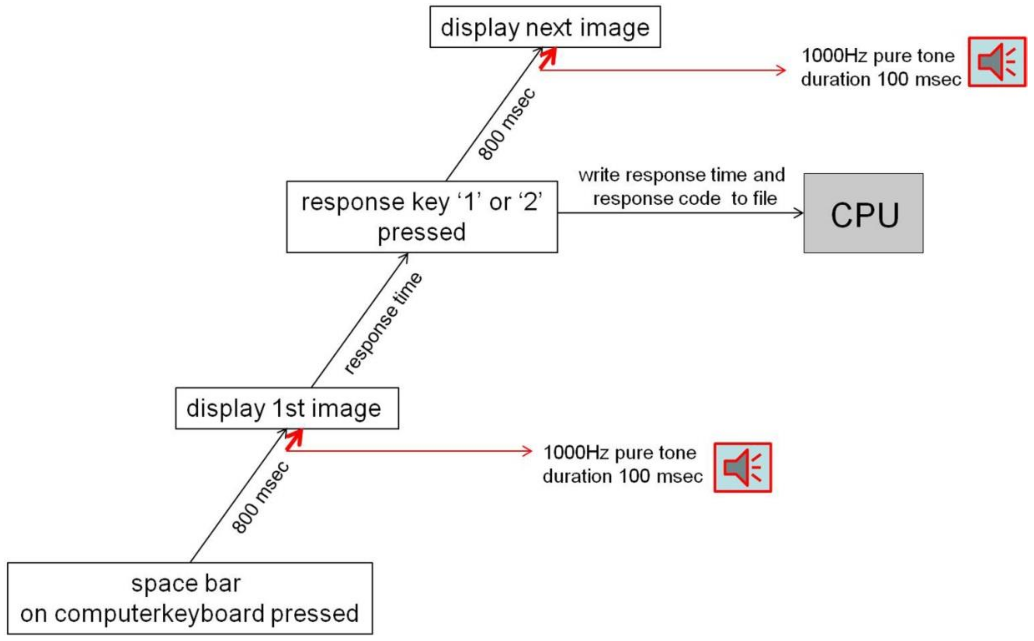 Computation 10 00099 g003