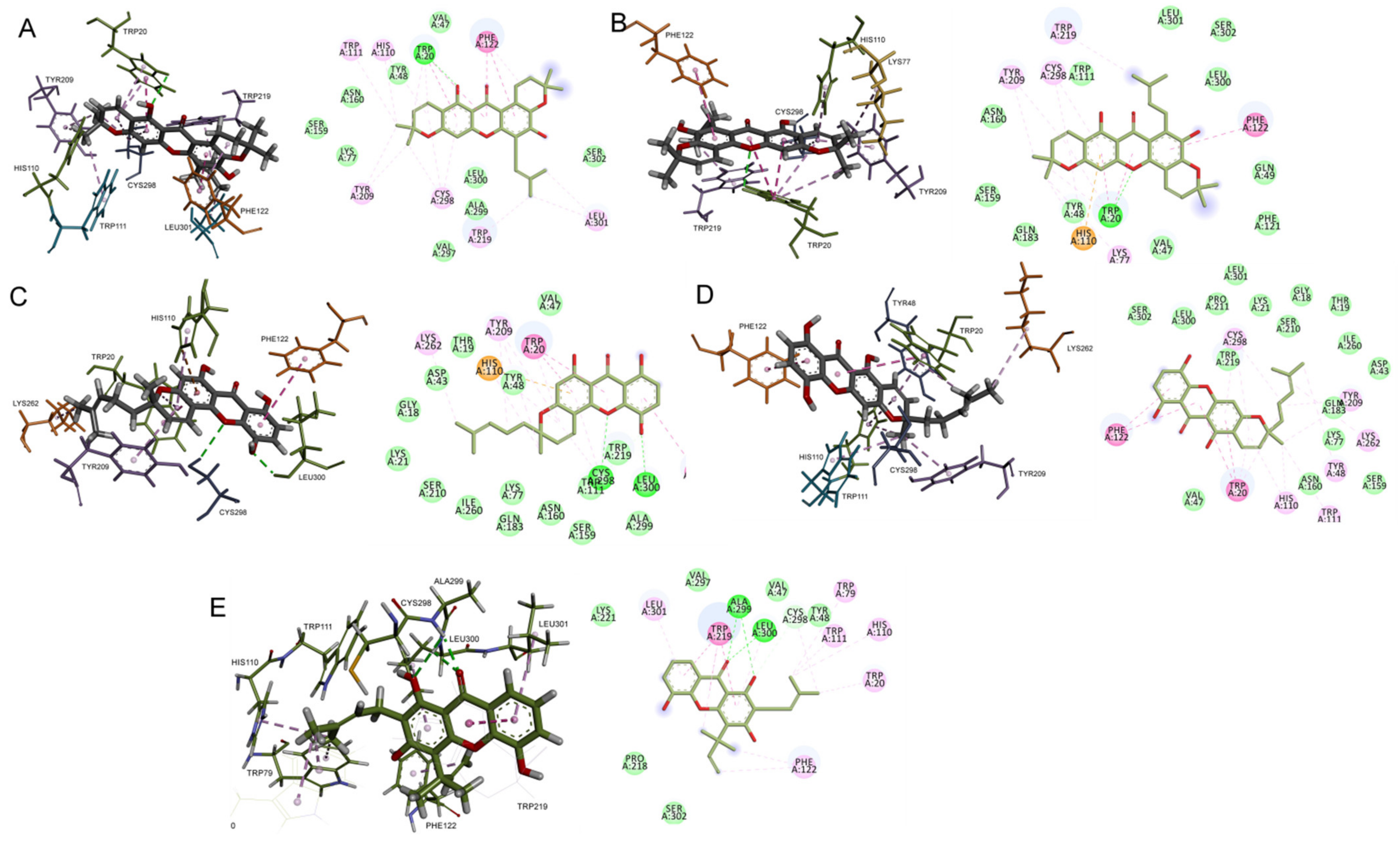 Computation 10 00146 g002