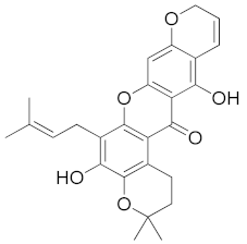 Computation 10 00146 i001 Computation 10 00146 i001