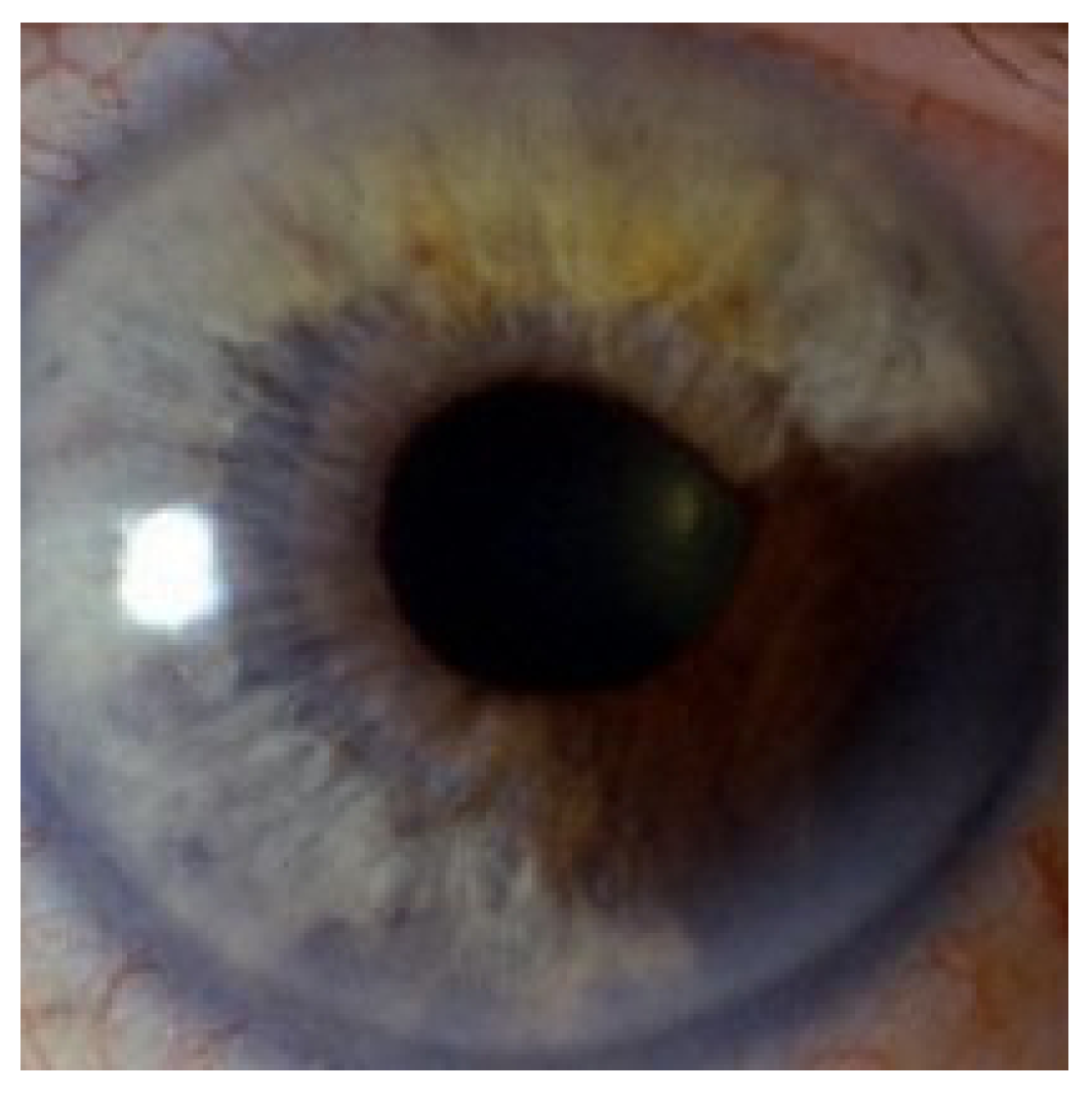 Computation 10 00158 g005