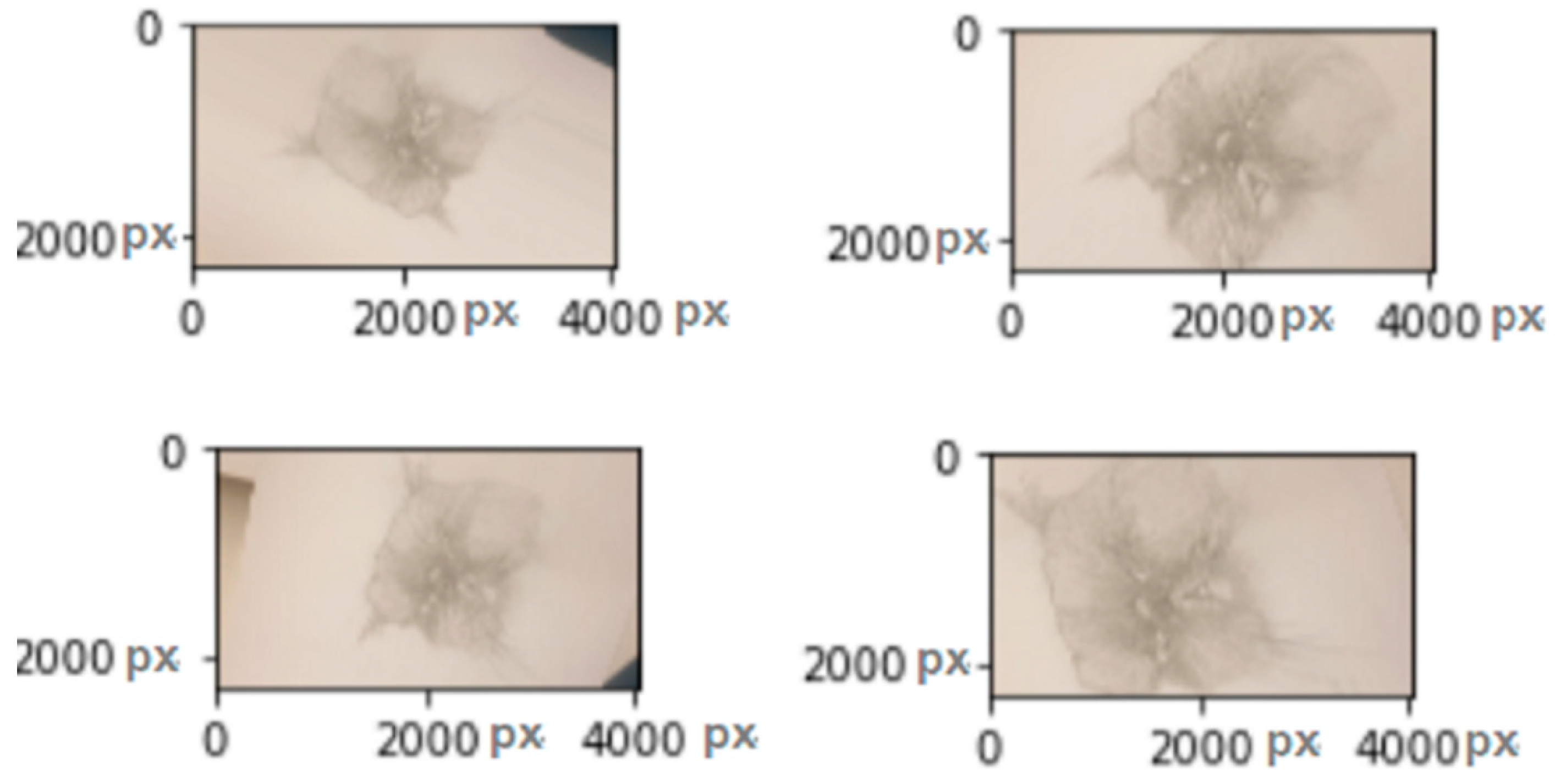 Computation 10 00202 g002