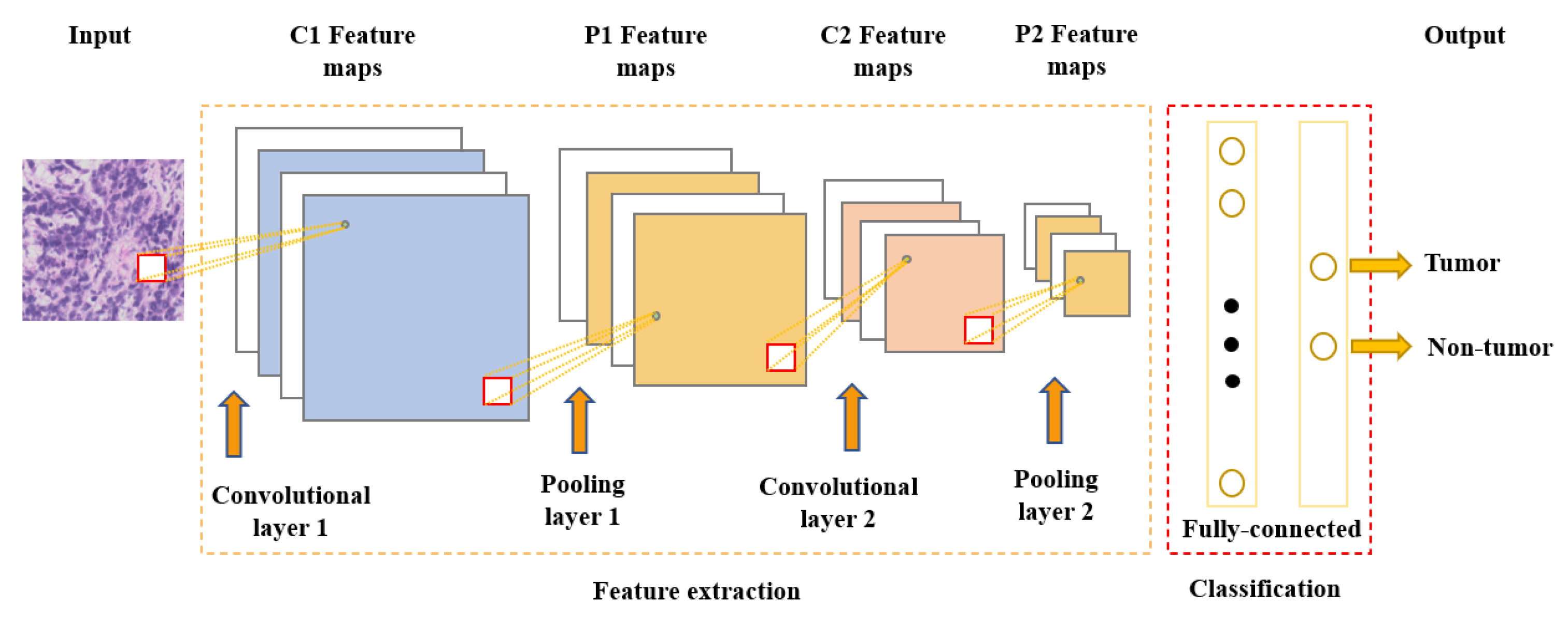 Computation 11 00081 g001 Computation 11 00081 g001