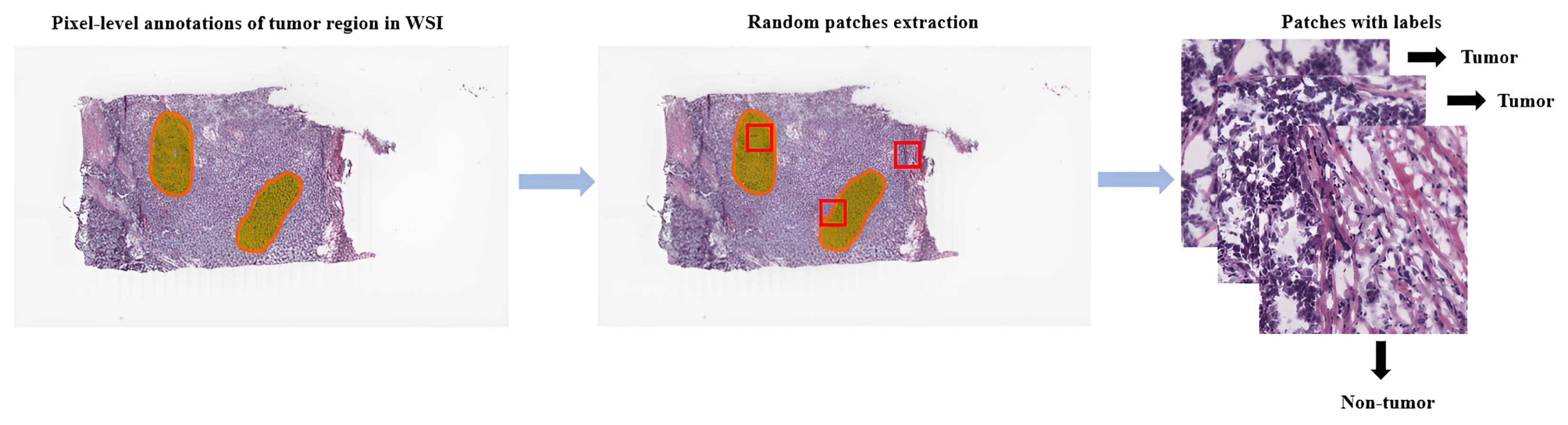 Computation 11 00081 g002 Computation 11 00081 g002