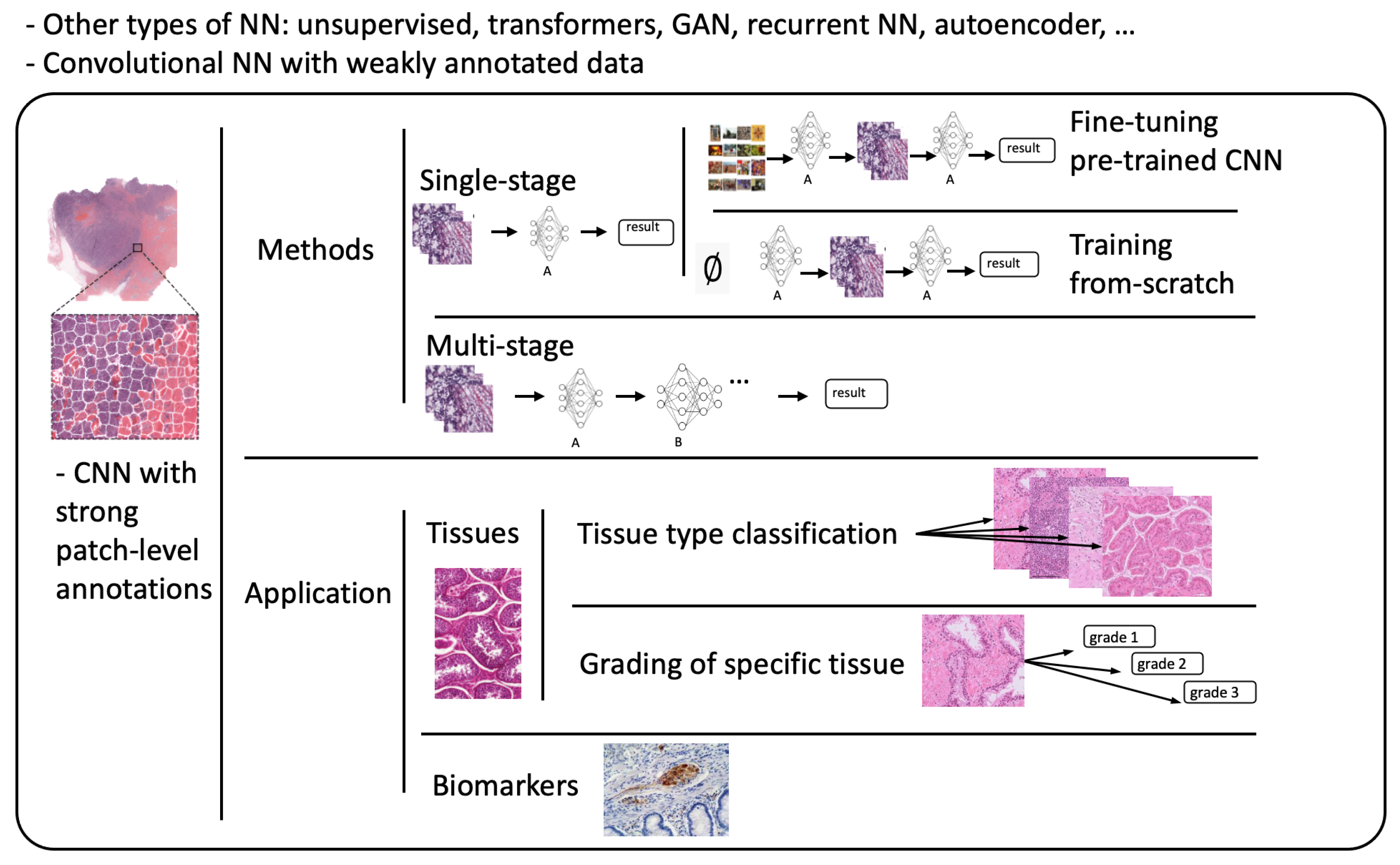 Computation 11 00081 g003 Computation 11 00081 g003