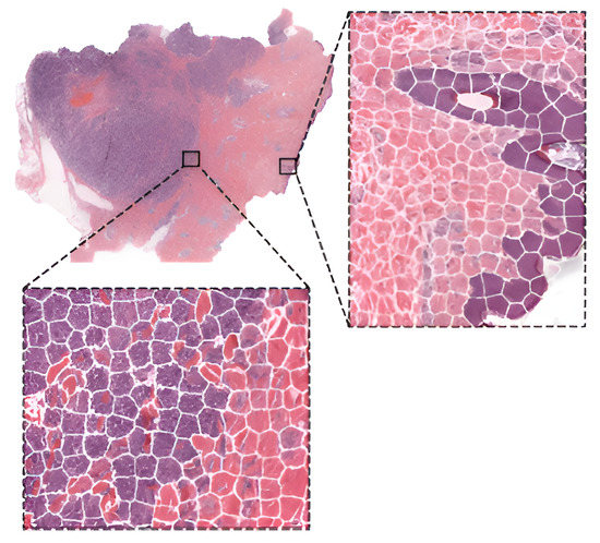 Computation 11 00081 g004