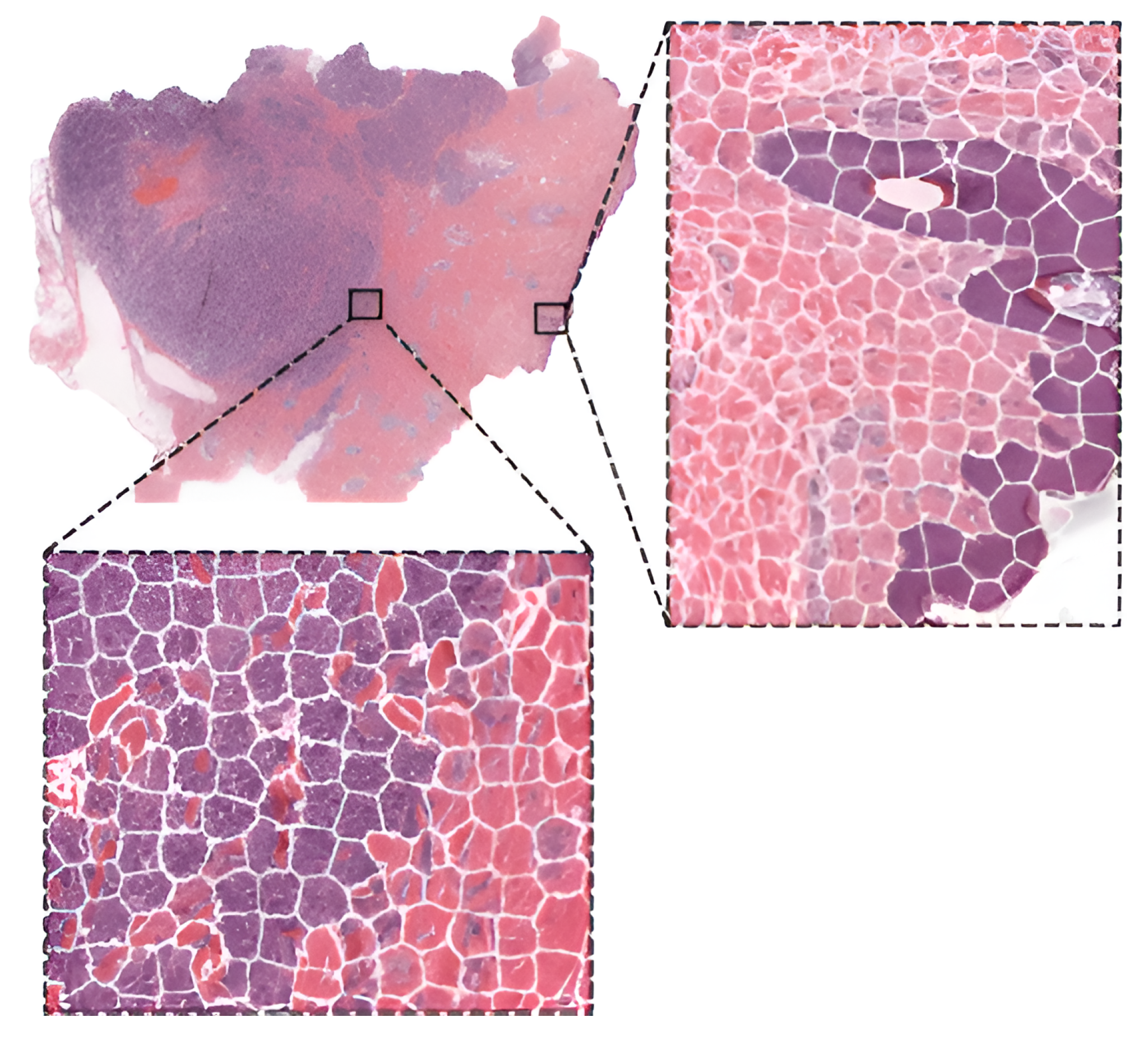 Computation 11 00081 g004 Computation 11 00081 g004