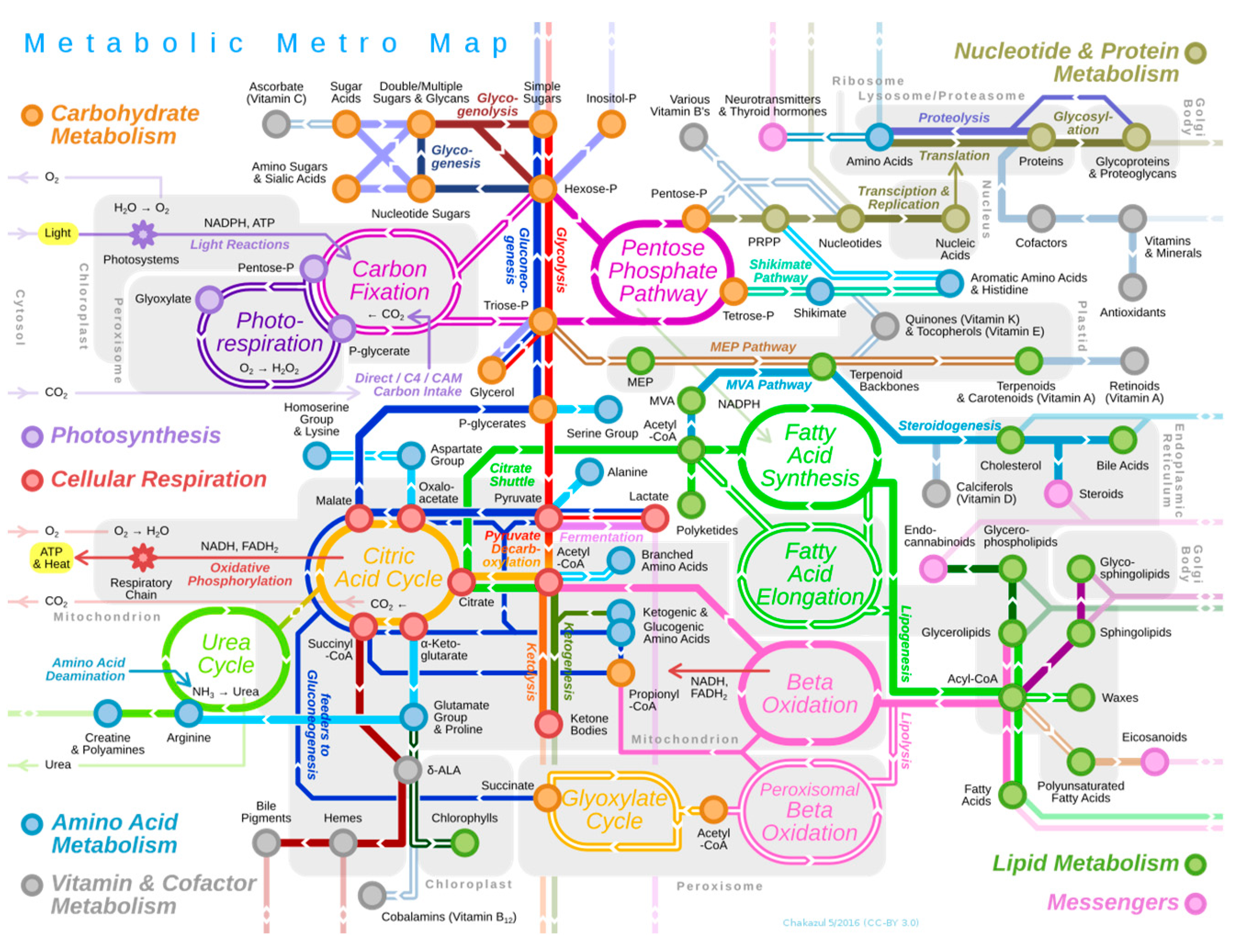 Computation 11 00107 g001