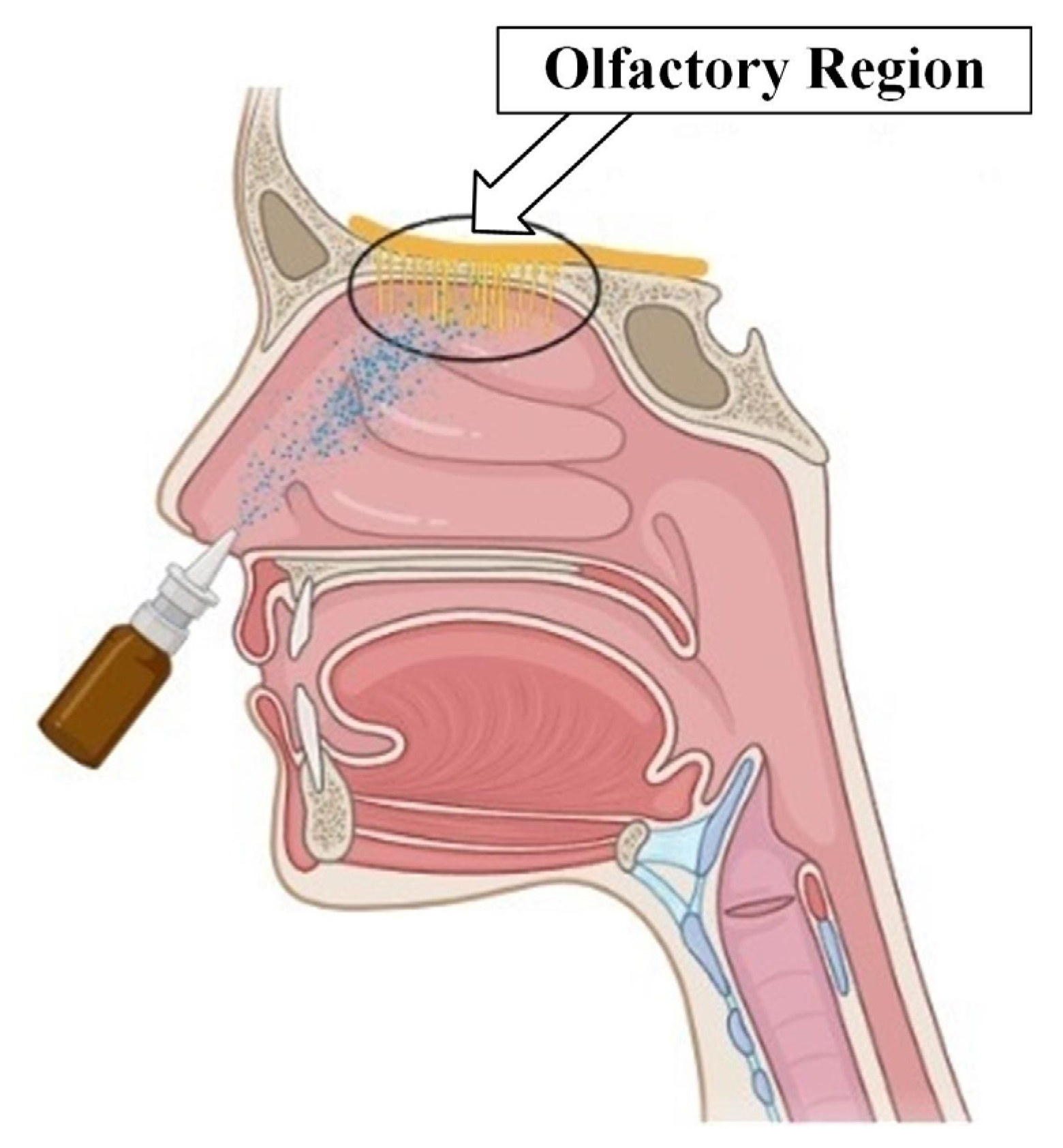 Computation 11 00136 g008