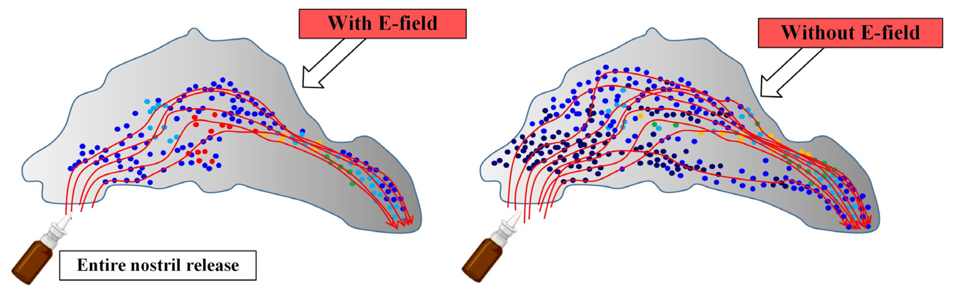 Computation 11 00136 g009