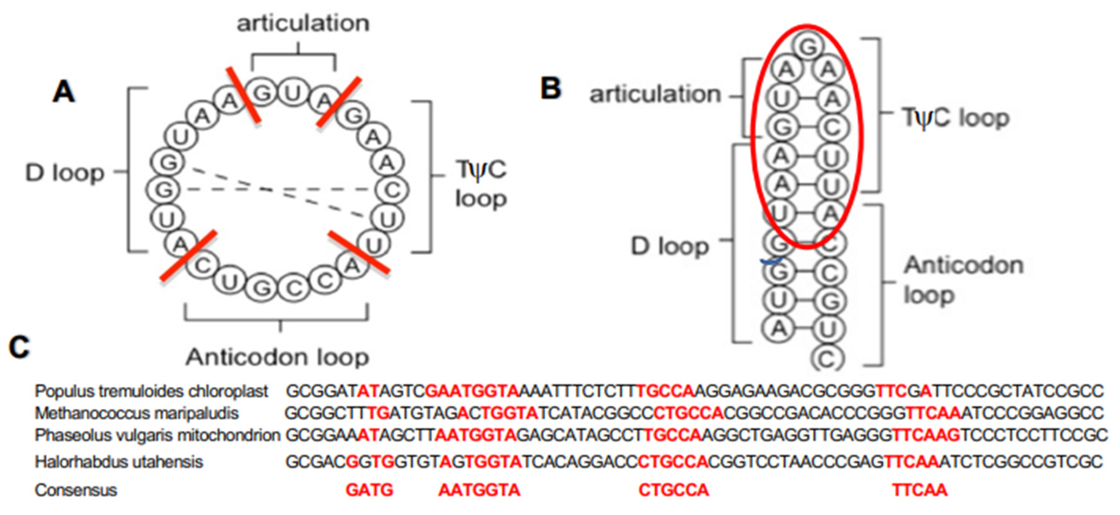 Computation 11 00158 g001