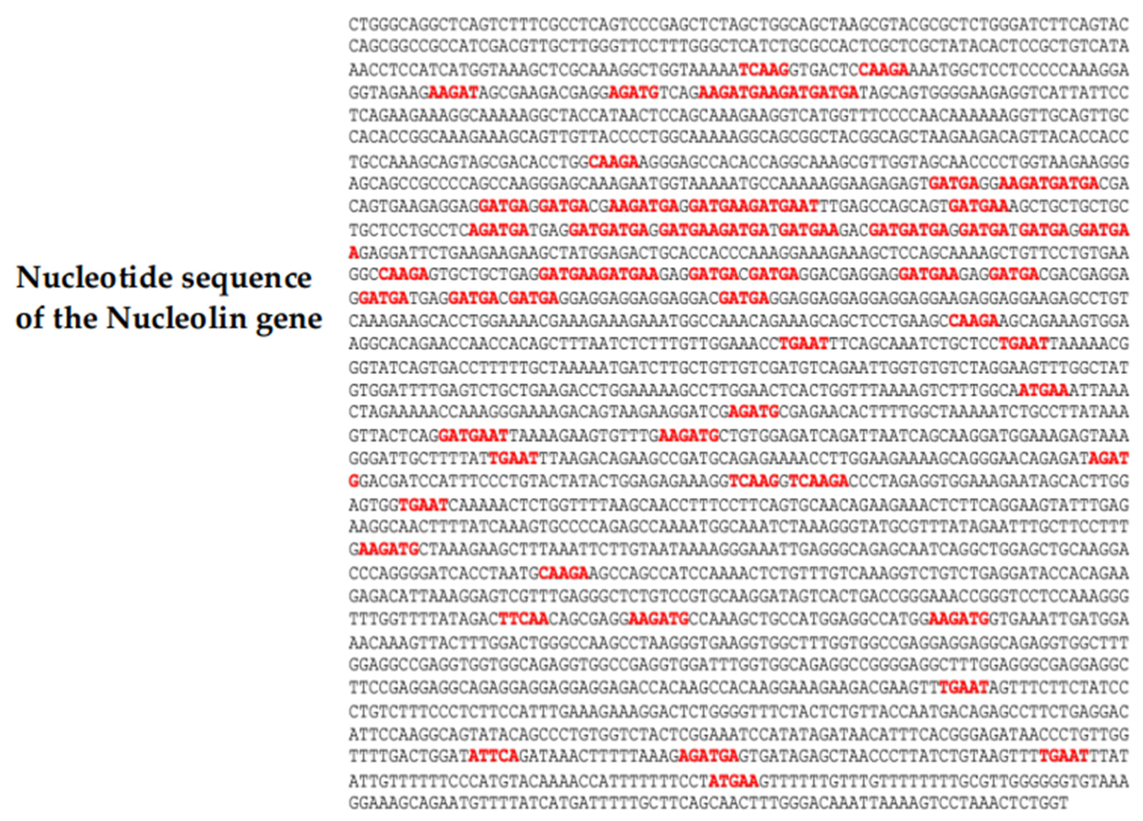 Computation 11 00158 g002