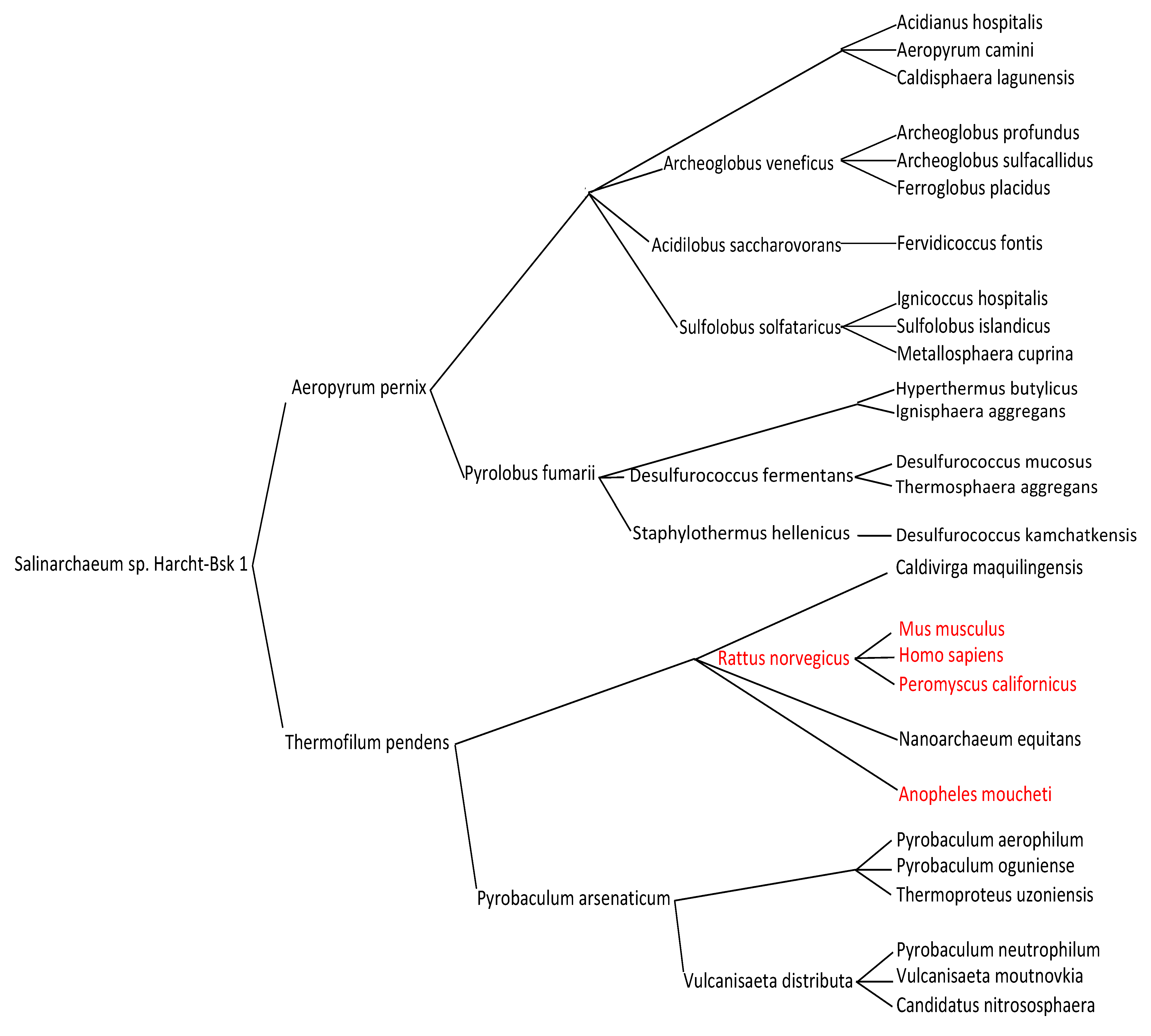 Computation 11 00158 g004