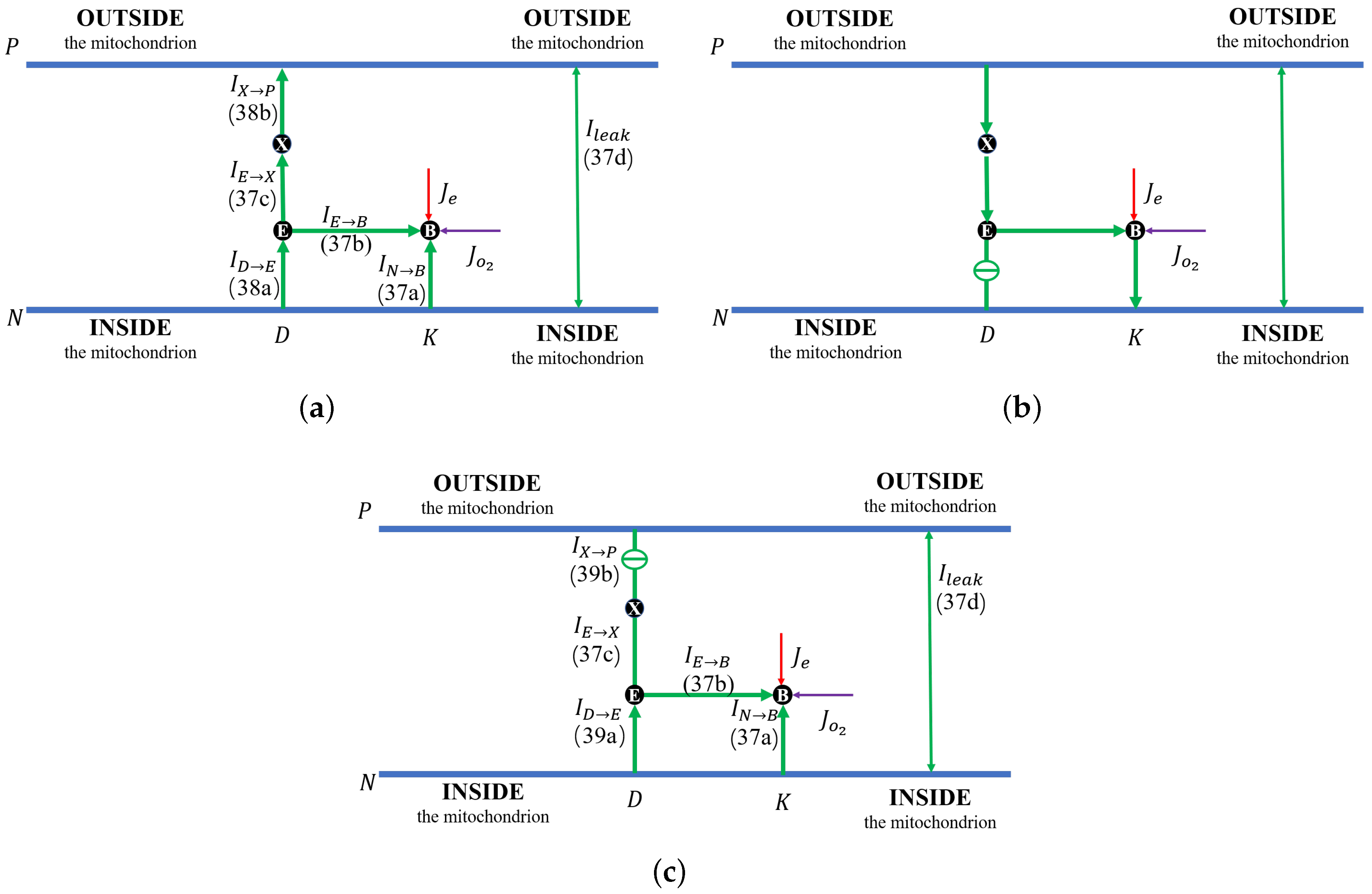 Computation 11 00253 g003