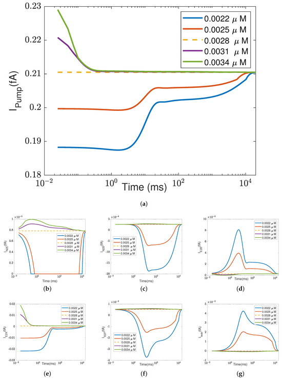 Computation 11 00253 g0a2