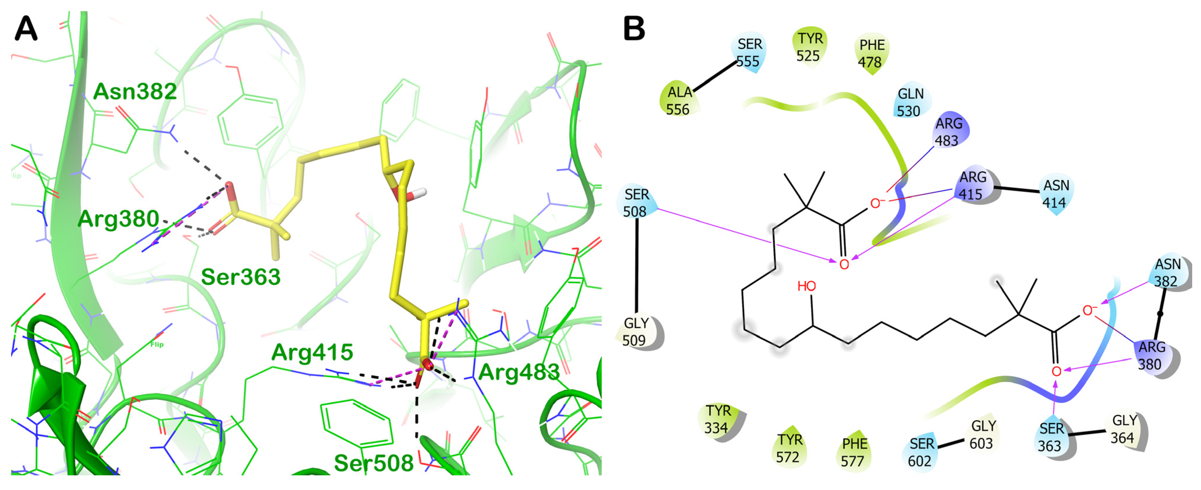 Computation 11 00255 g014 Computation 11 00255 g014