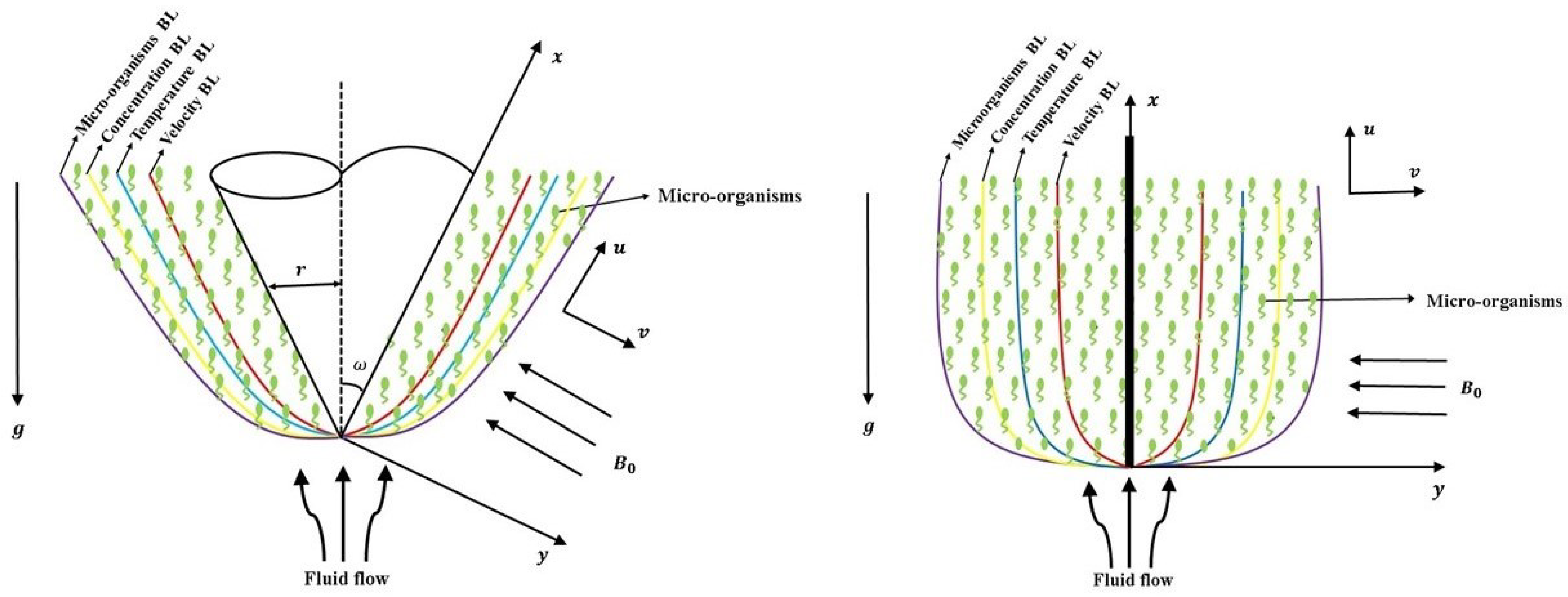 Computation 12 00048 g001