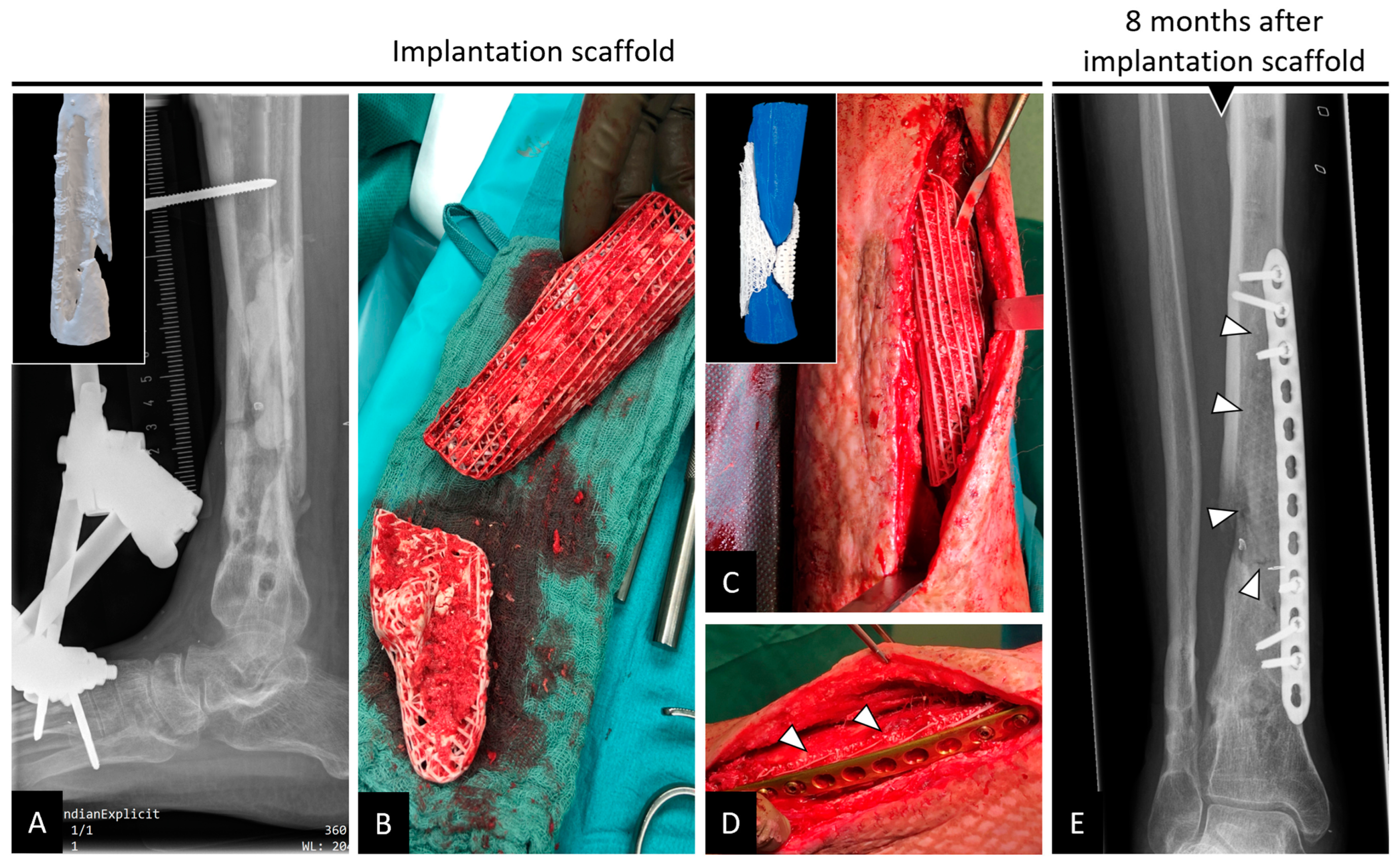 Computation 12 00074 g002