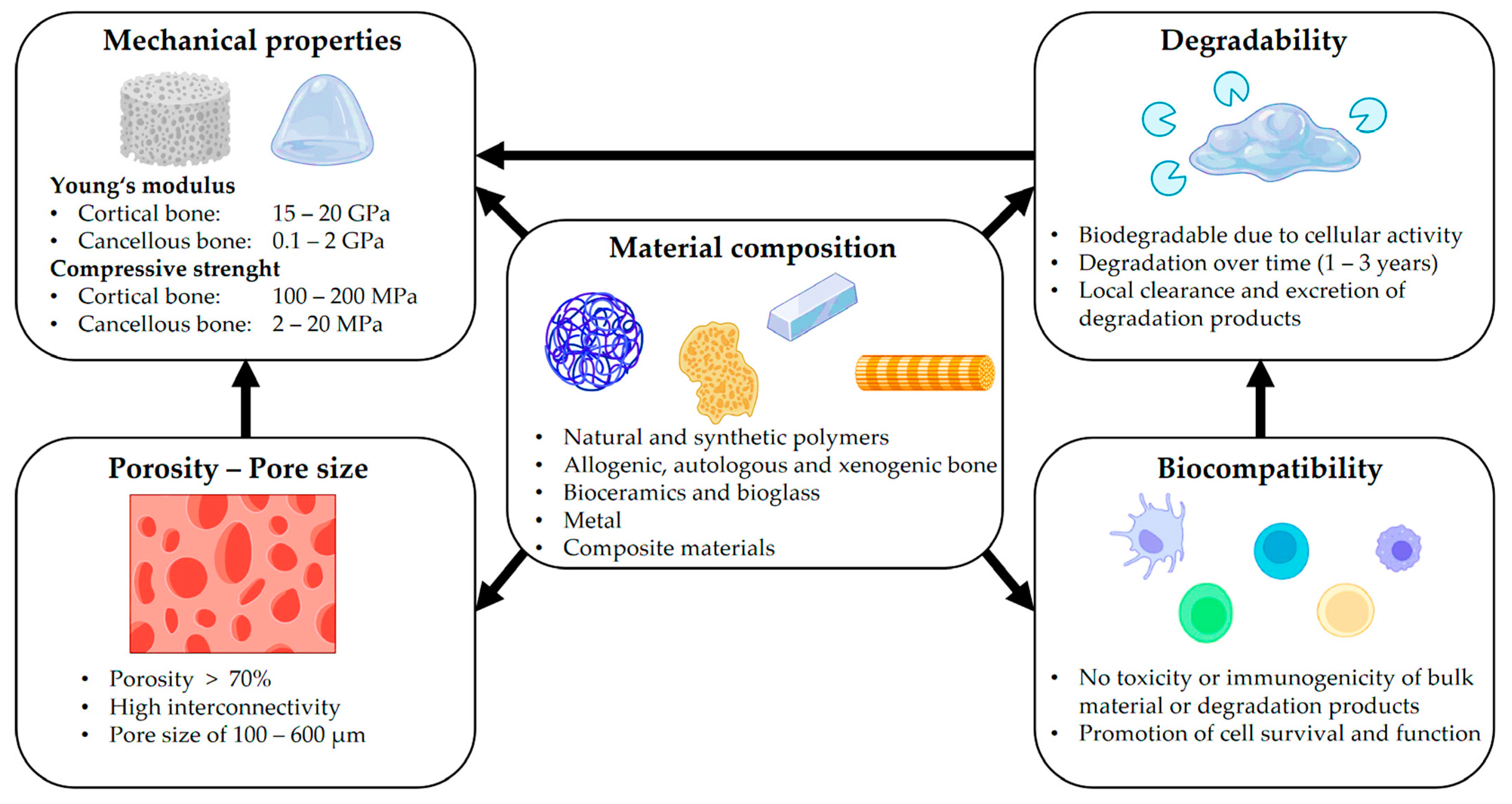 Computation 12 00074 g004
