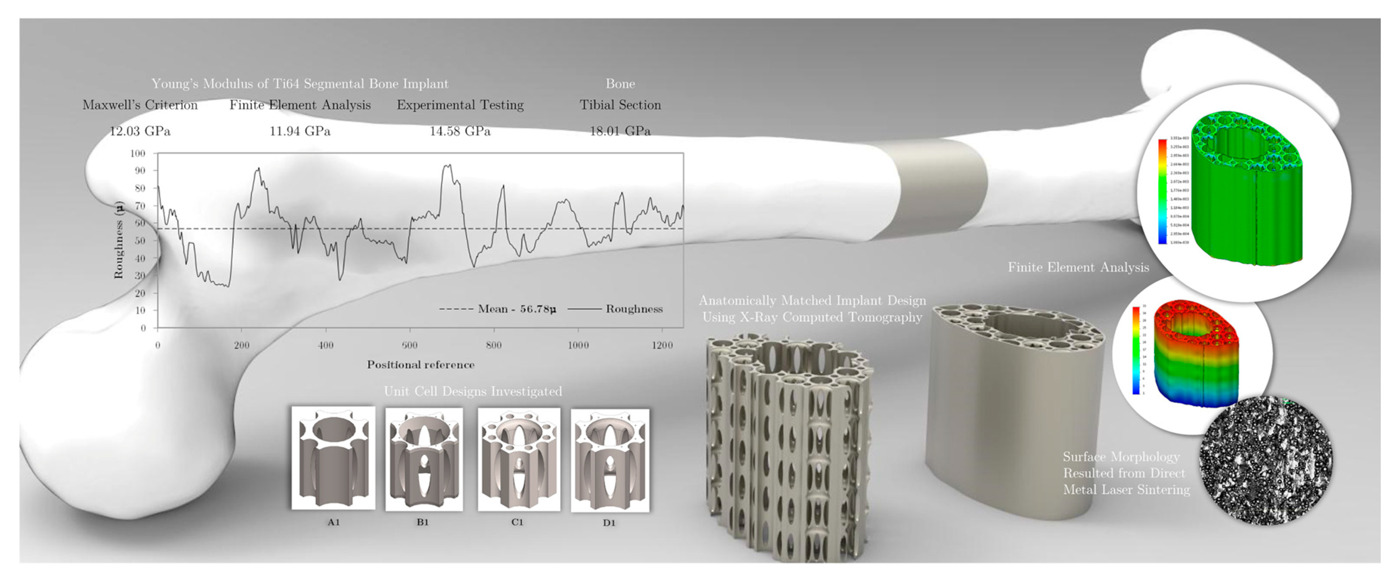 Computation 12 00074 g011