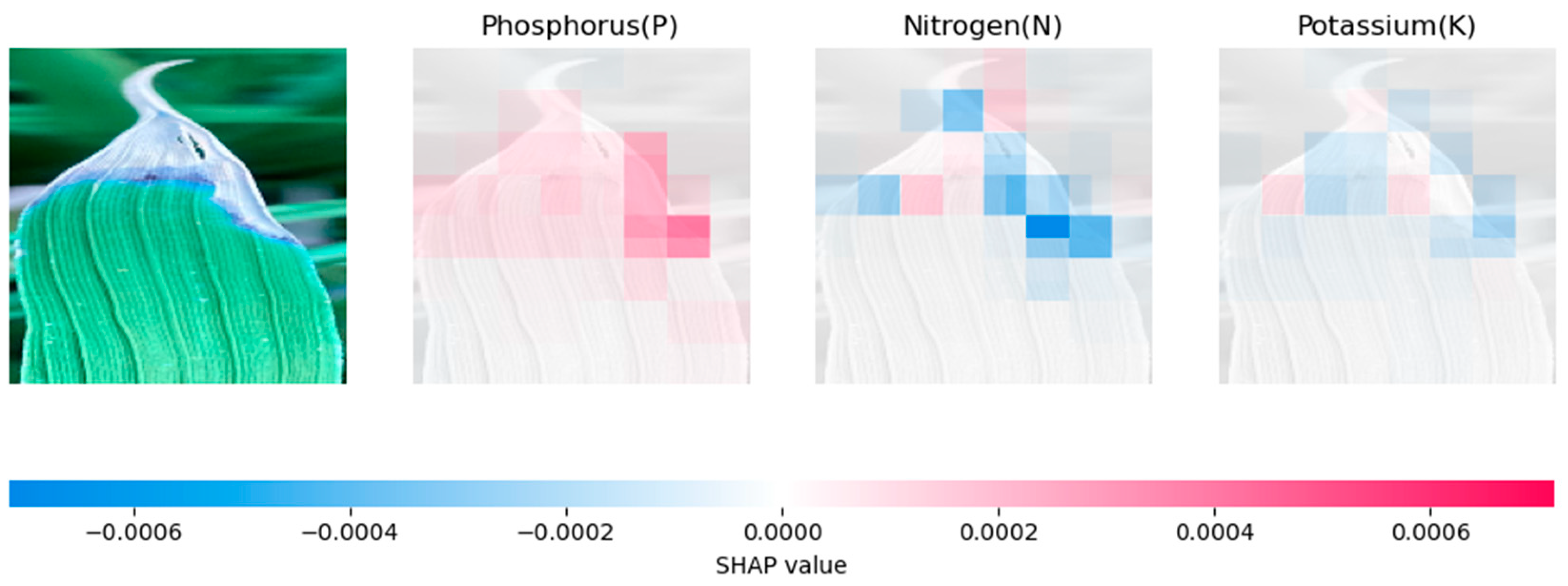 Computation 12 00113 g005