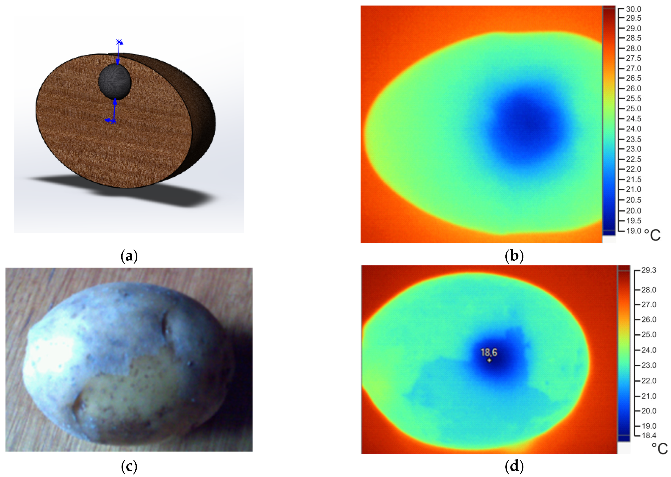 Computation 12 00148 g003