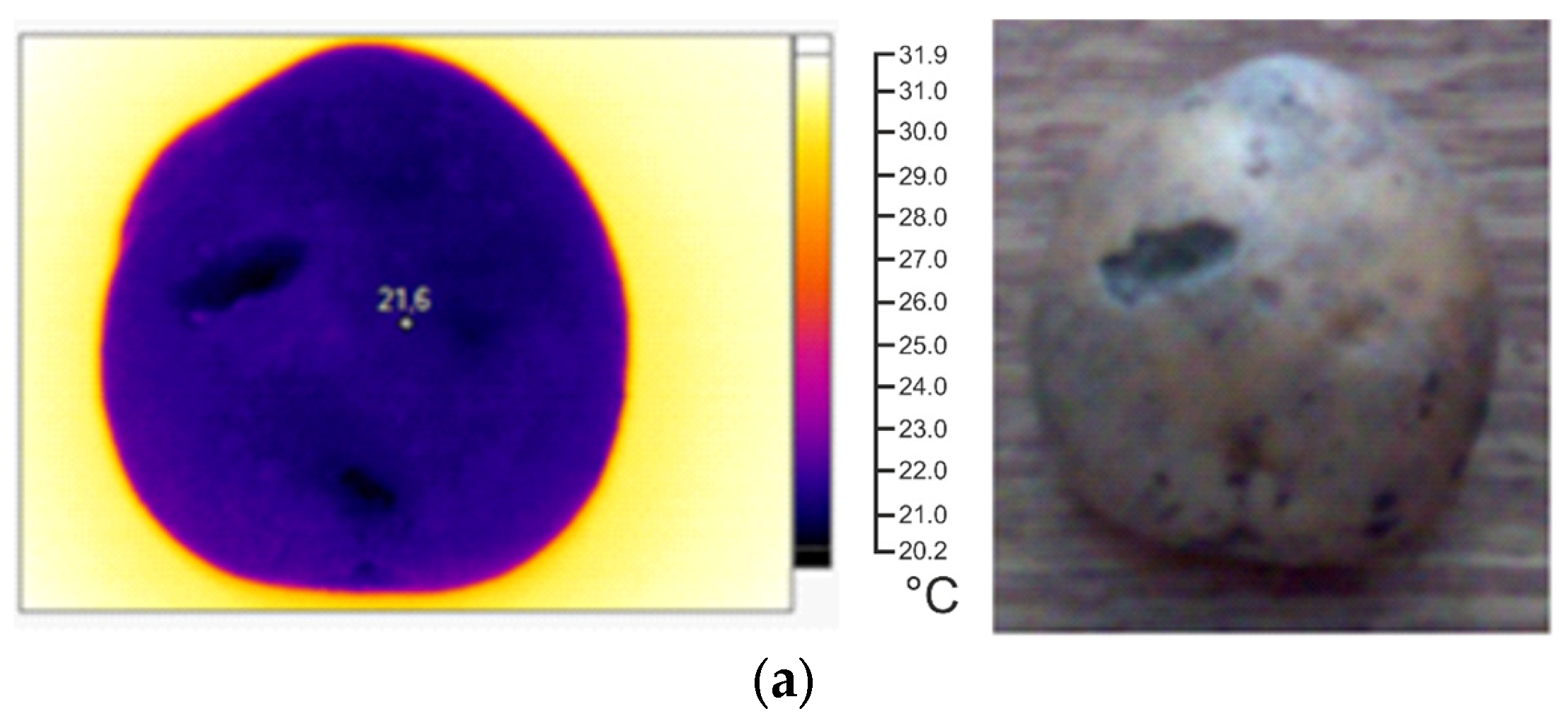 Computation 12 00148 g005a