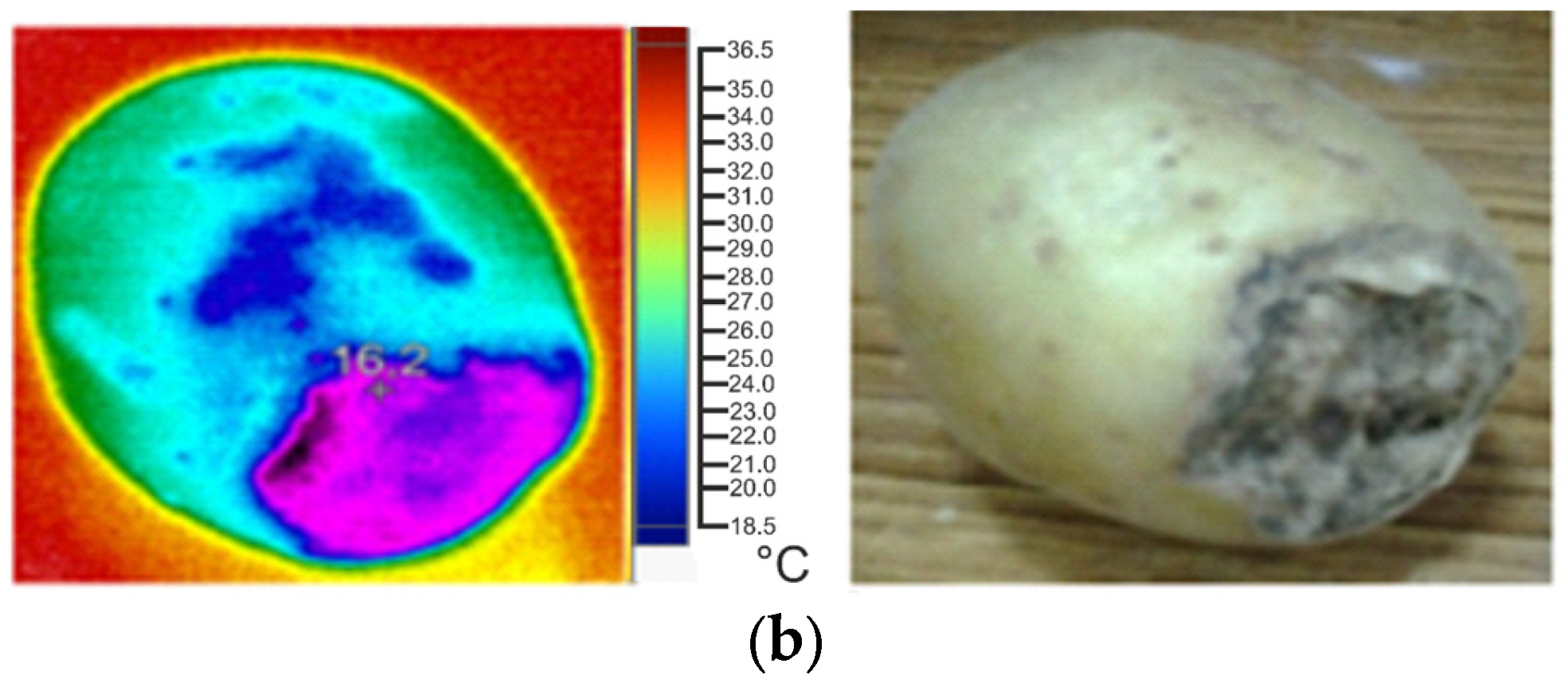 Computation 12 00148 g005b