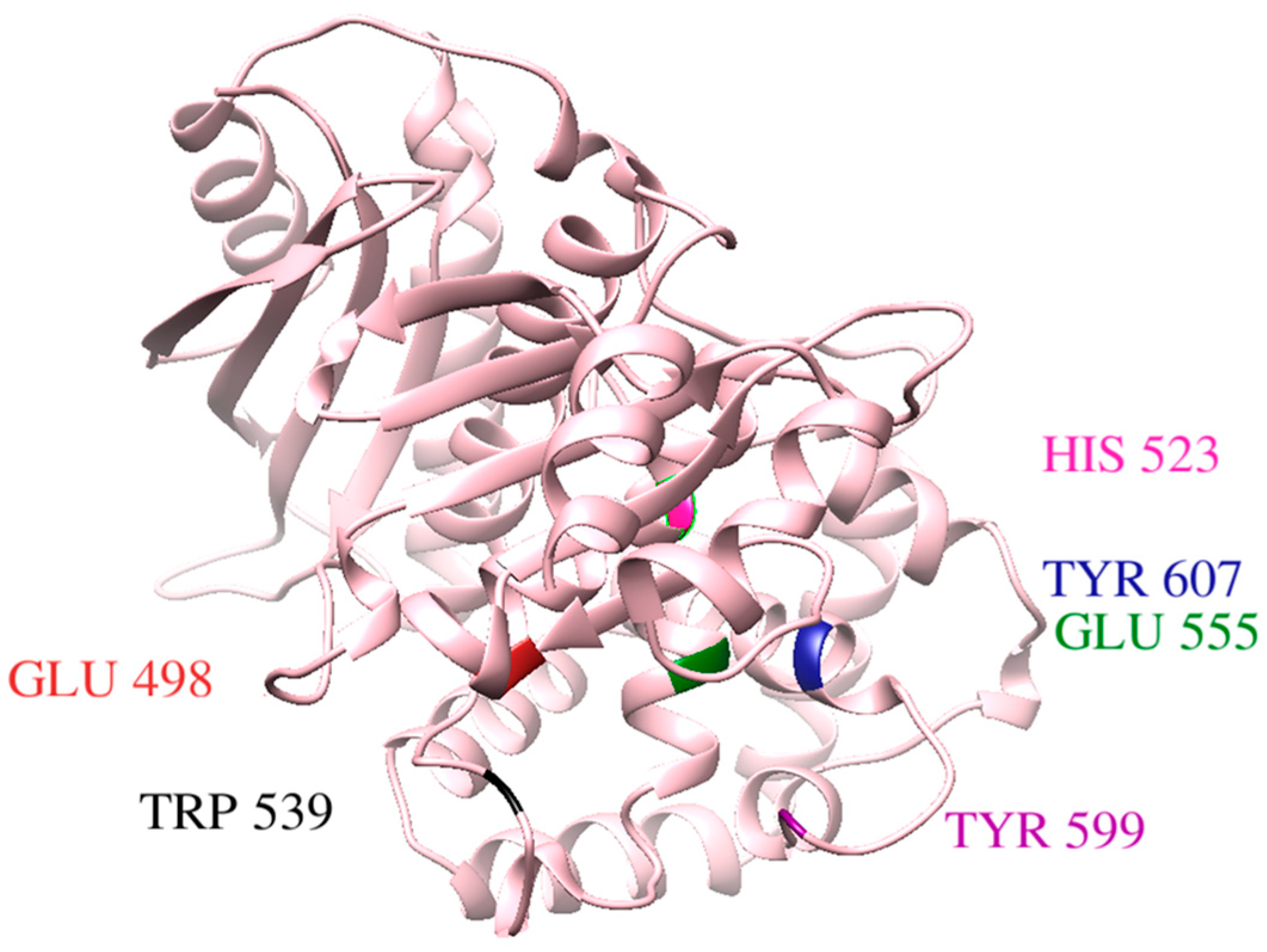 Computation 12 00153 g002