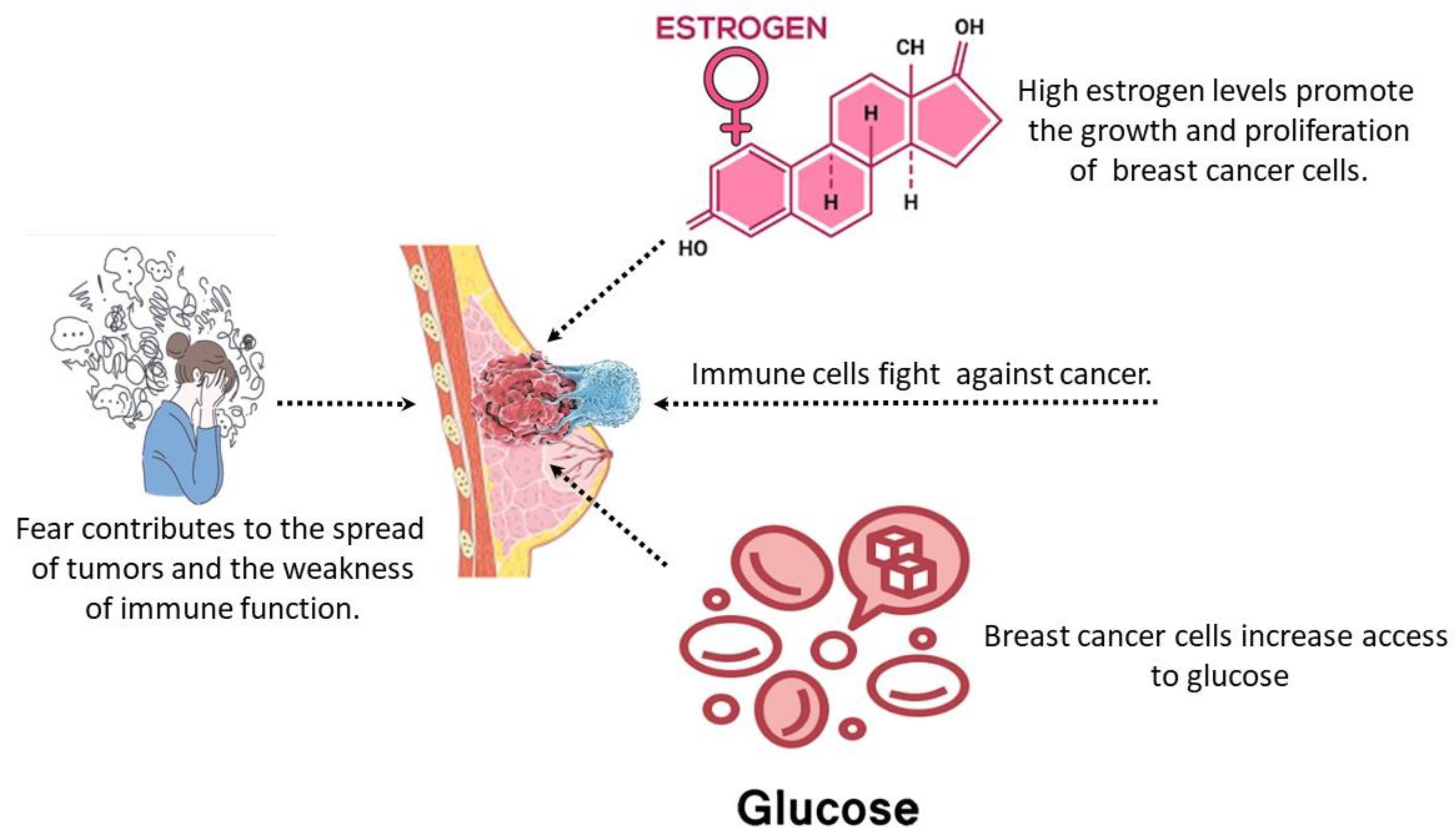 Computation 12 00160 g001