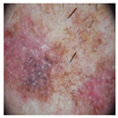 Computation 12 00173 i001