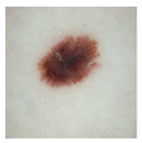 Computation 12 00173 i003