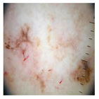 Computation 12 00173 i007