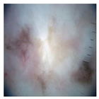 Computation 12 00173 i008