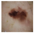 Computation 12 00173 i009