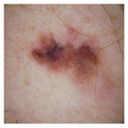 Computation 12 00173 i010