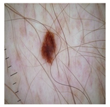 Computation 12 00173 i011