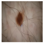 Computation 12 00173 i012