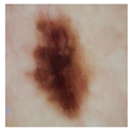 Computation 12 00173 i013