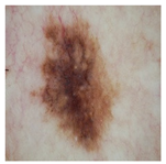 Computation 12 00173 i014