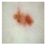 Computation 12 00173 i015